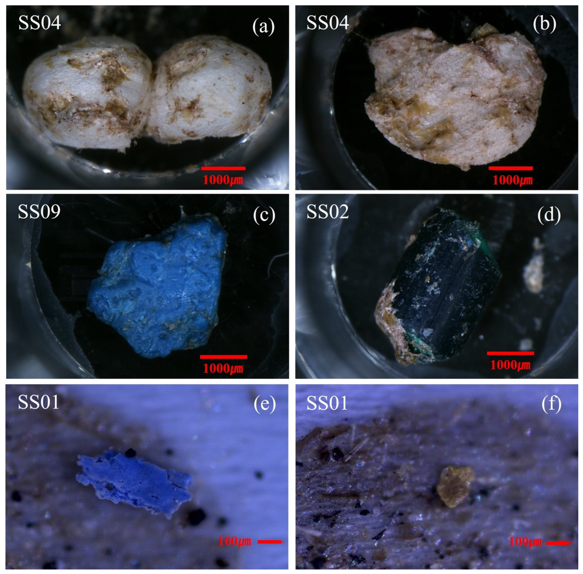 Sustainability 16 06272 g004