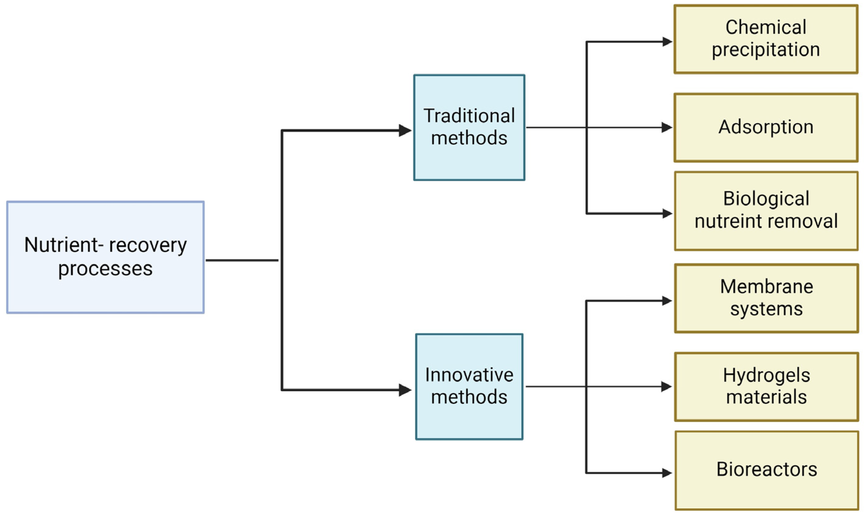 Sustainability 16 06321 g002