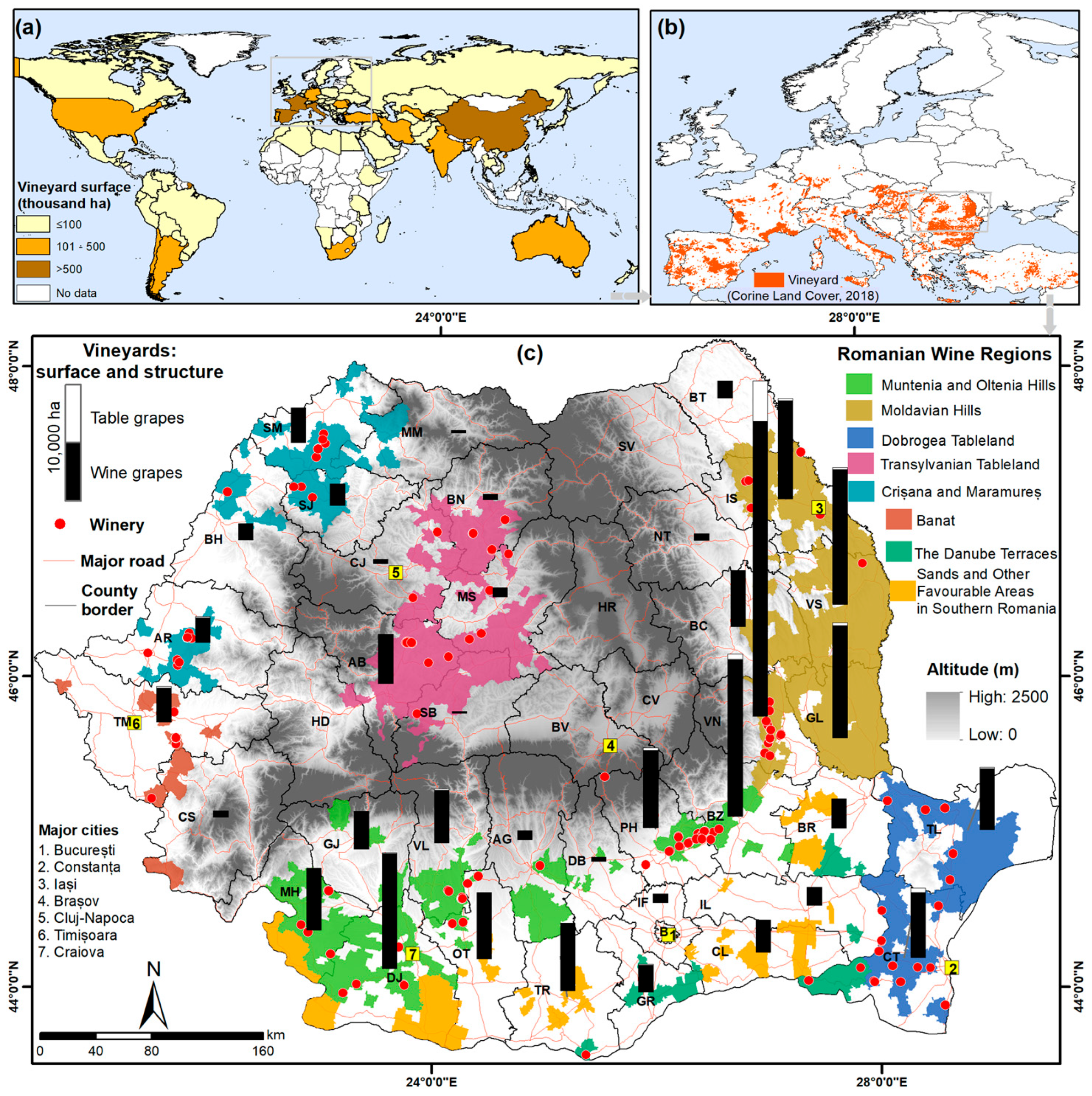 Sustainability 16 06336 g001