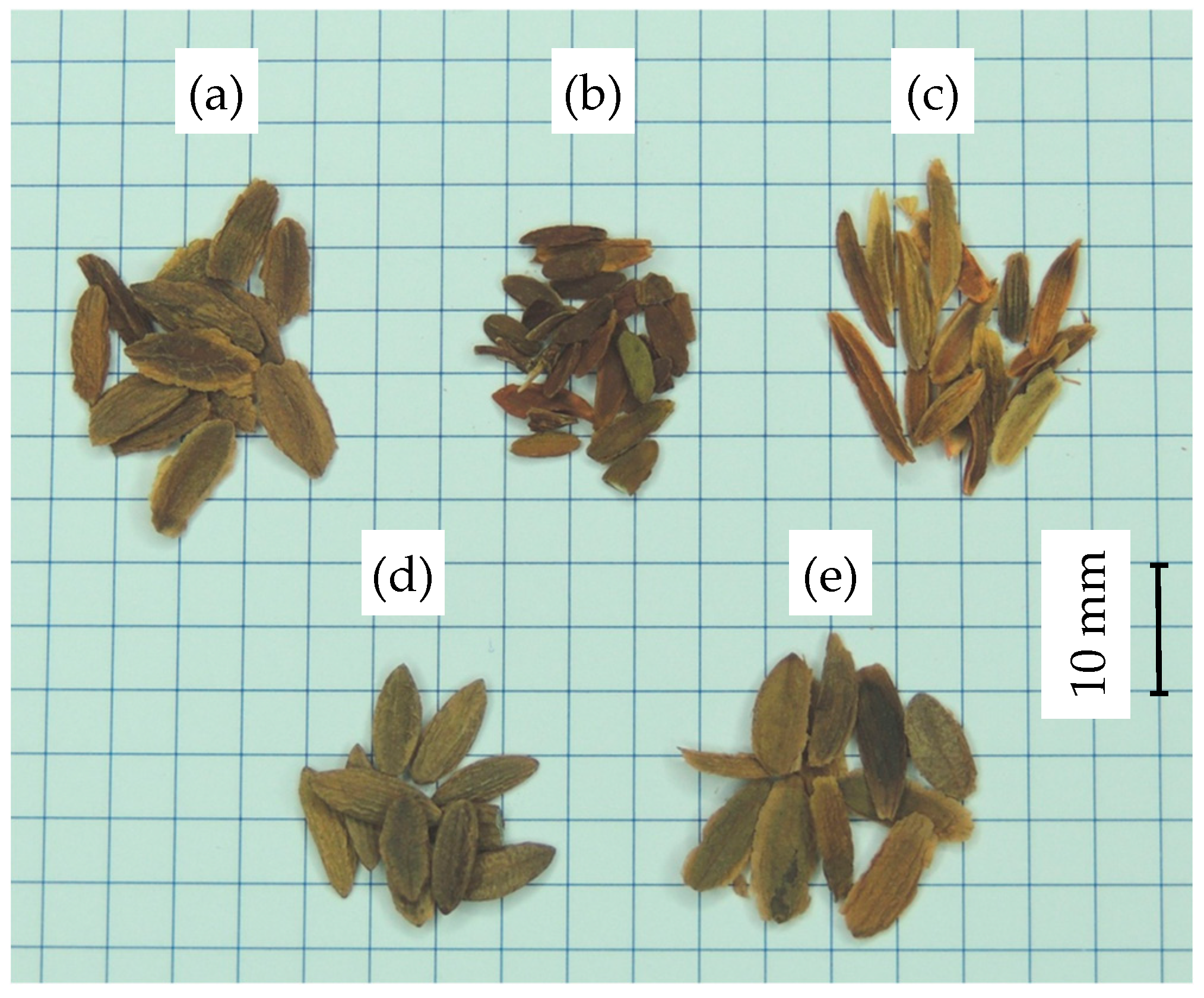 Sustainability 16 06340 g001