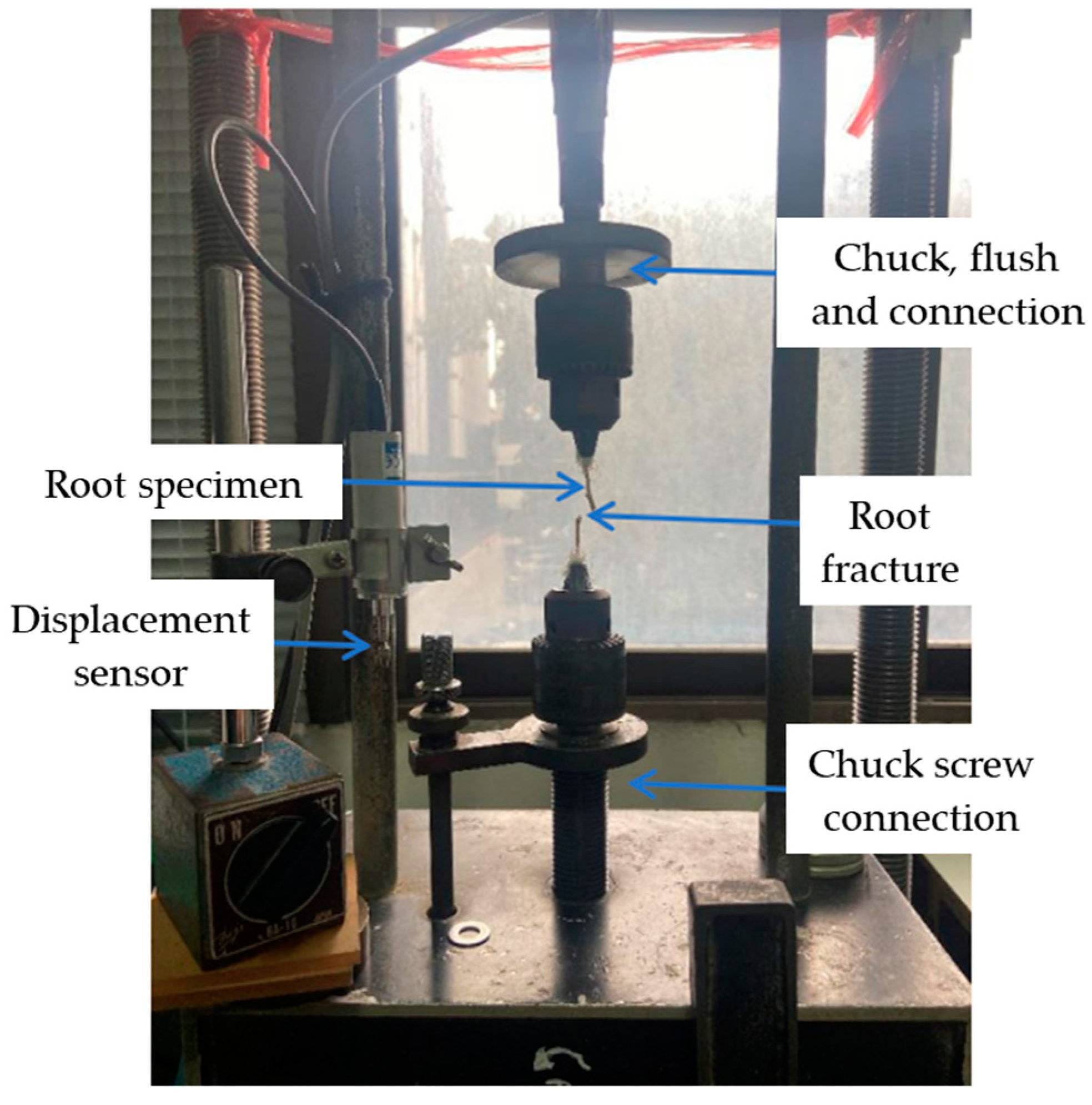 Sustainability 16 06374 g001