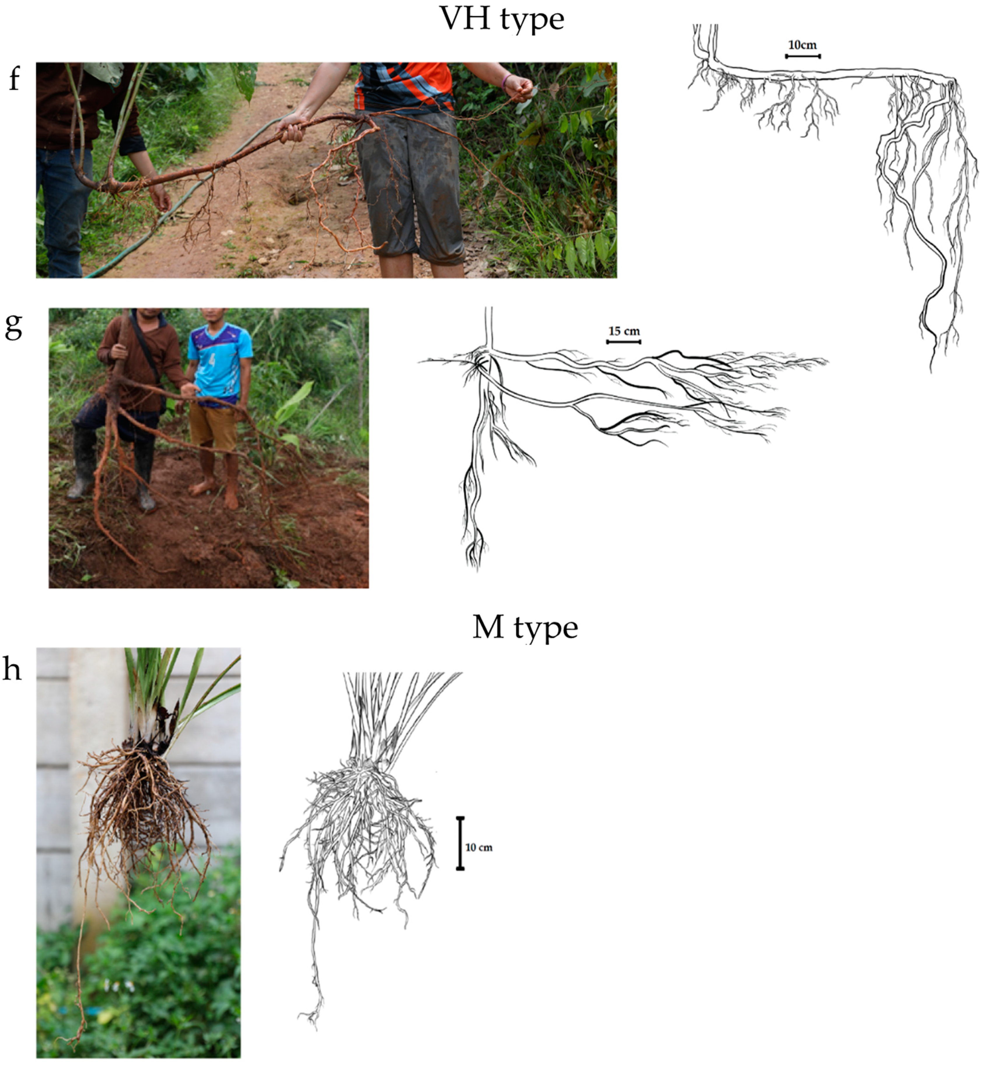 Sustainability 16 06374 g002b