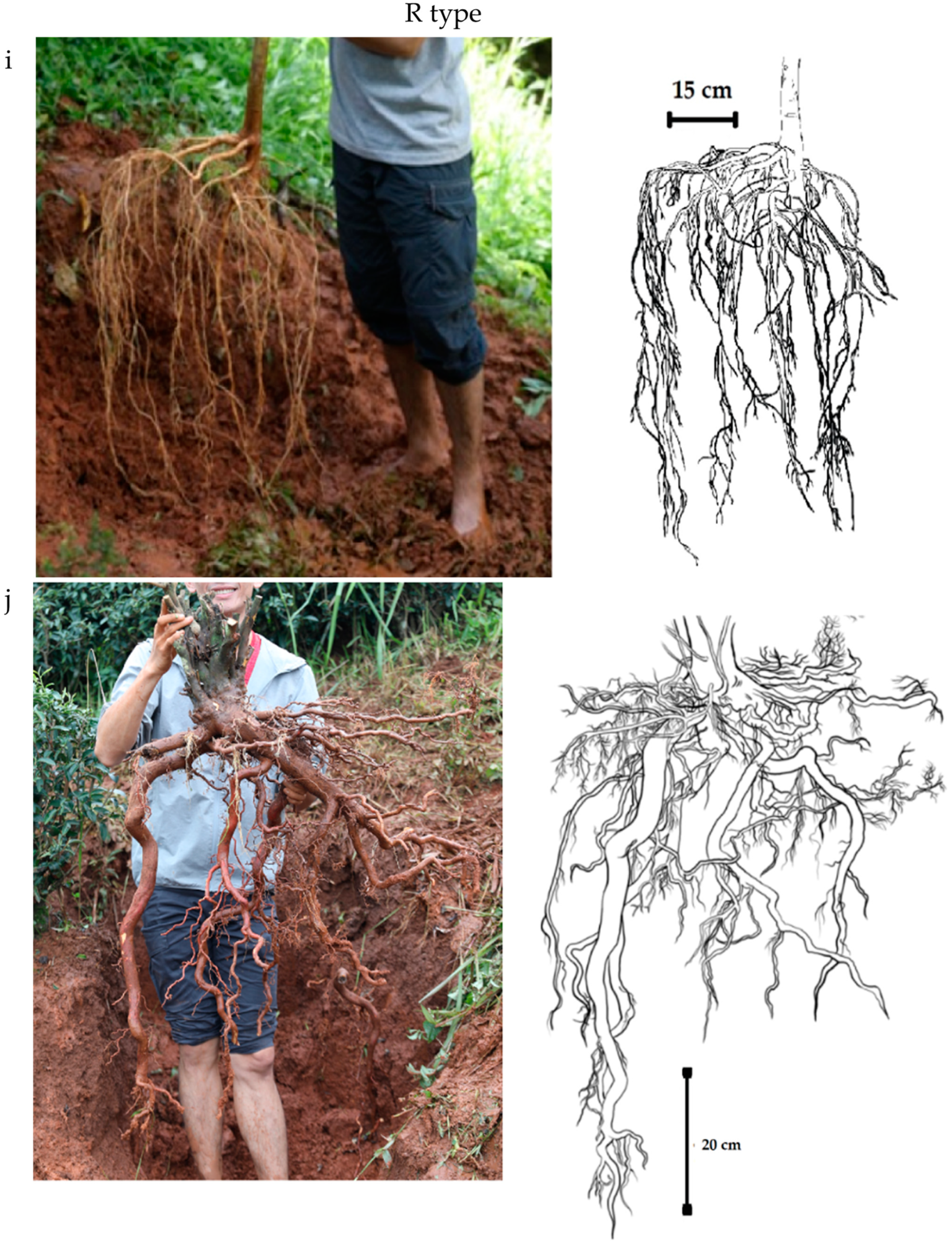 Sustainability 16 06374 g002c