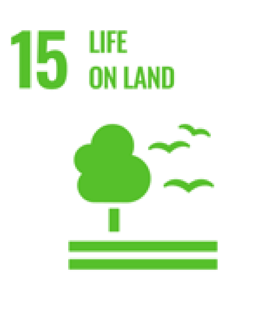 Sustainability 16 06405 i015