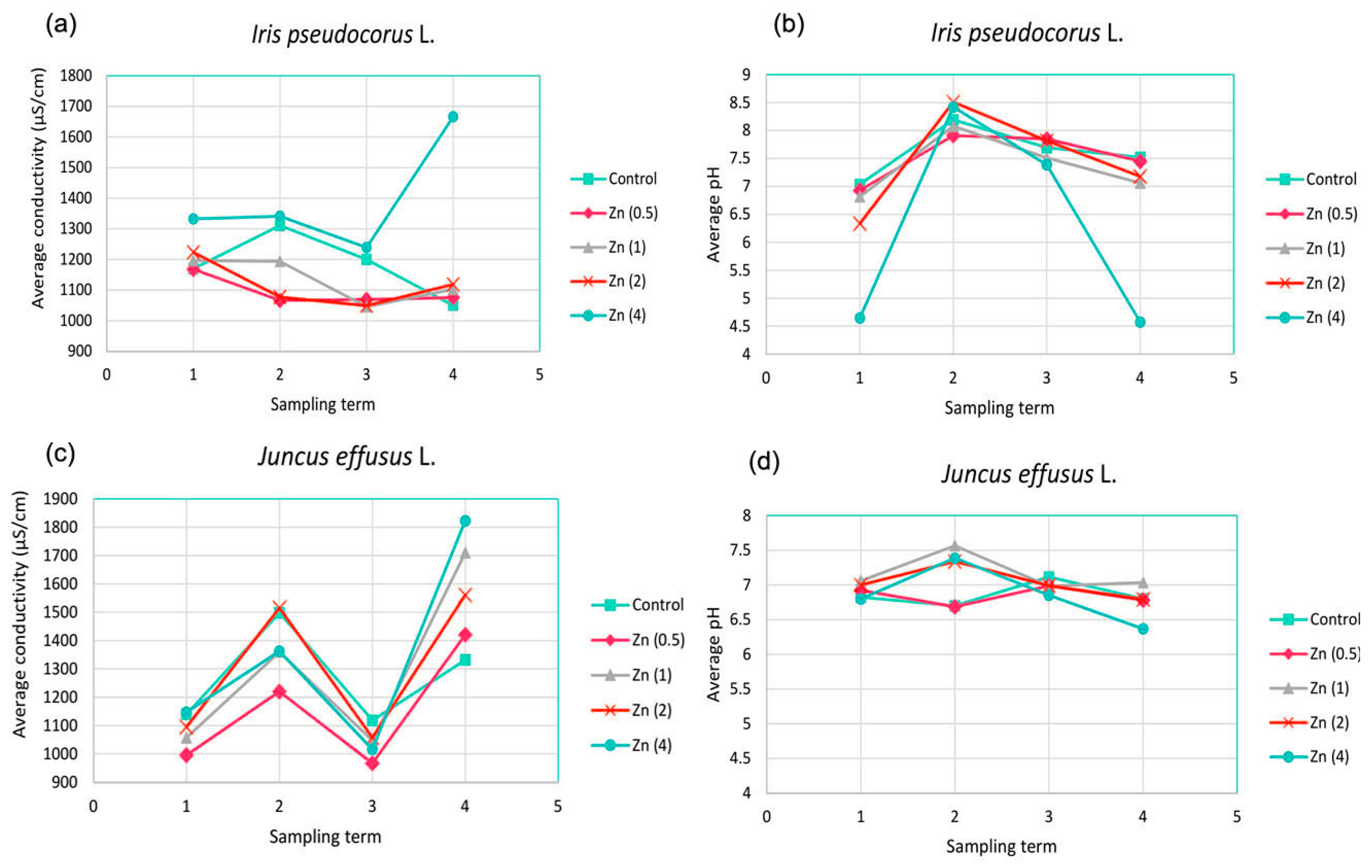 Sustainability 16 06467 g003