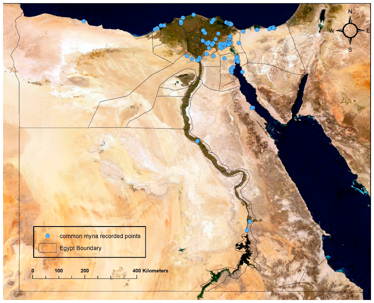 Sustainability 16 06495 g001 Sustainability 16 06495 g001