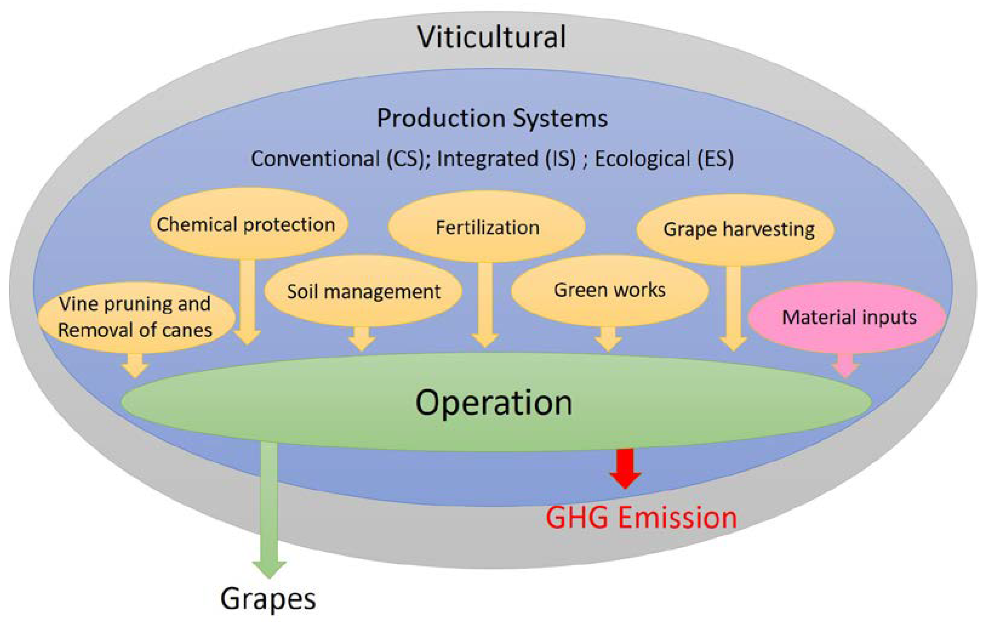 Sustainability 16 06561 g002