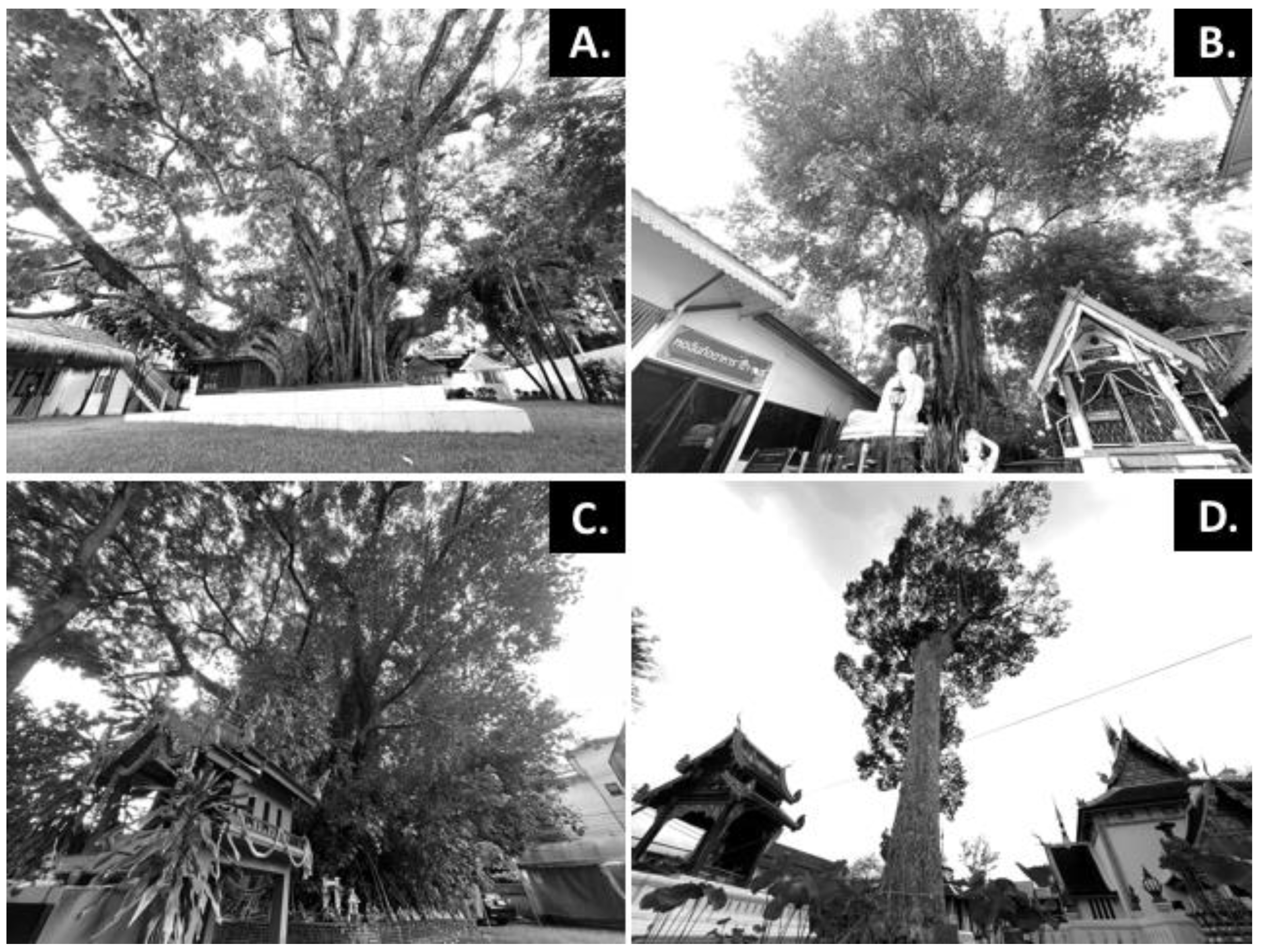 Sustainability 16 06574 g003 Sustainability 16 06574 g003