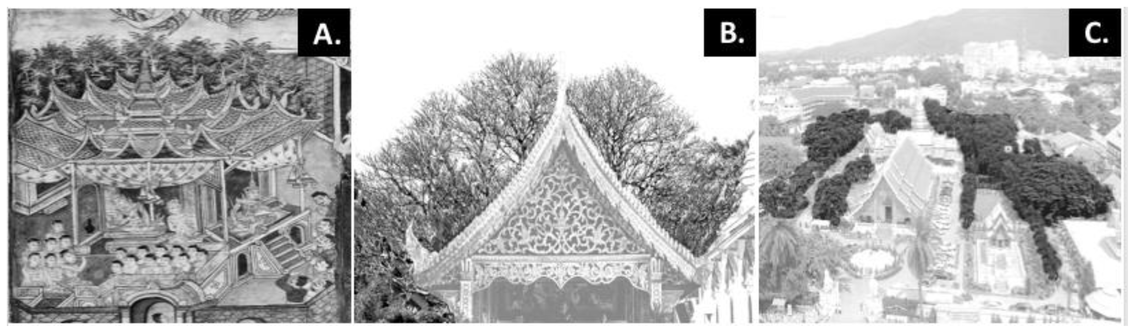 Sustainability 16 06574 g004 Sustainability 16 06574 g004