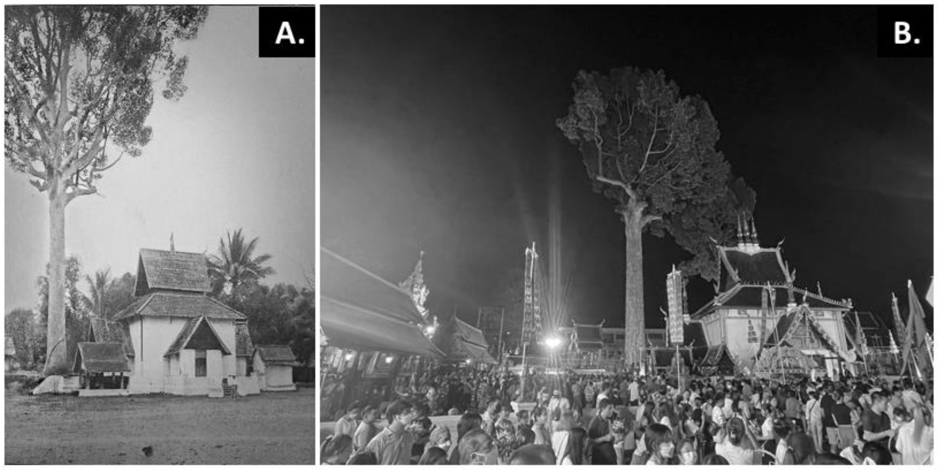 Sustainability 16 06574 g006 Sustainability 16 06574 g006