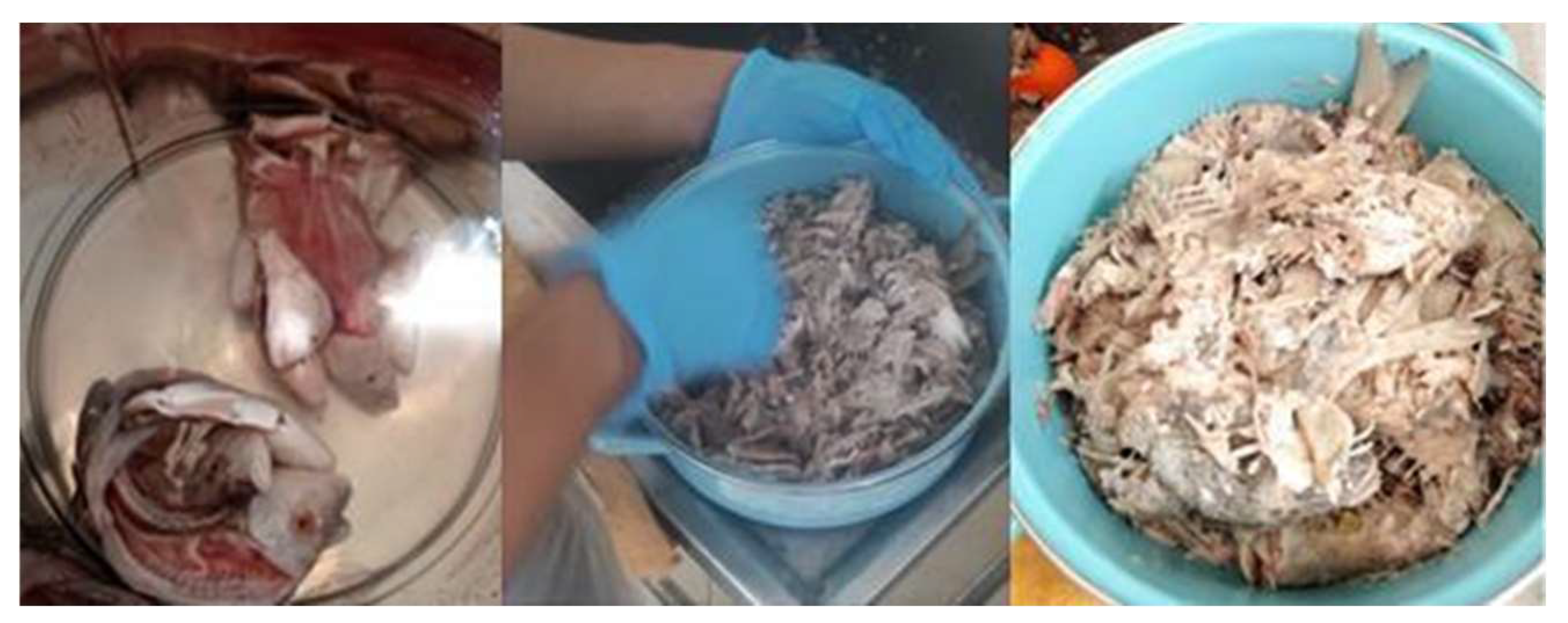 Sustainability 16 06593 g003