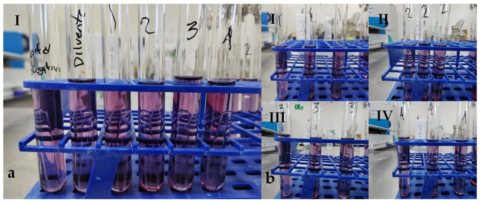 Sustainability 16 06593 g010