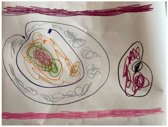 Sustainability 16 06626 g002