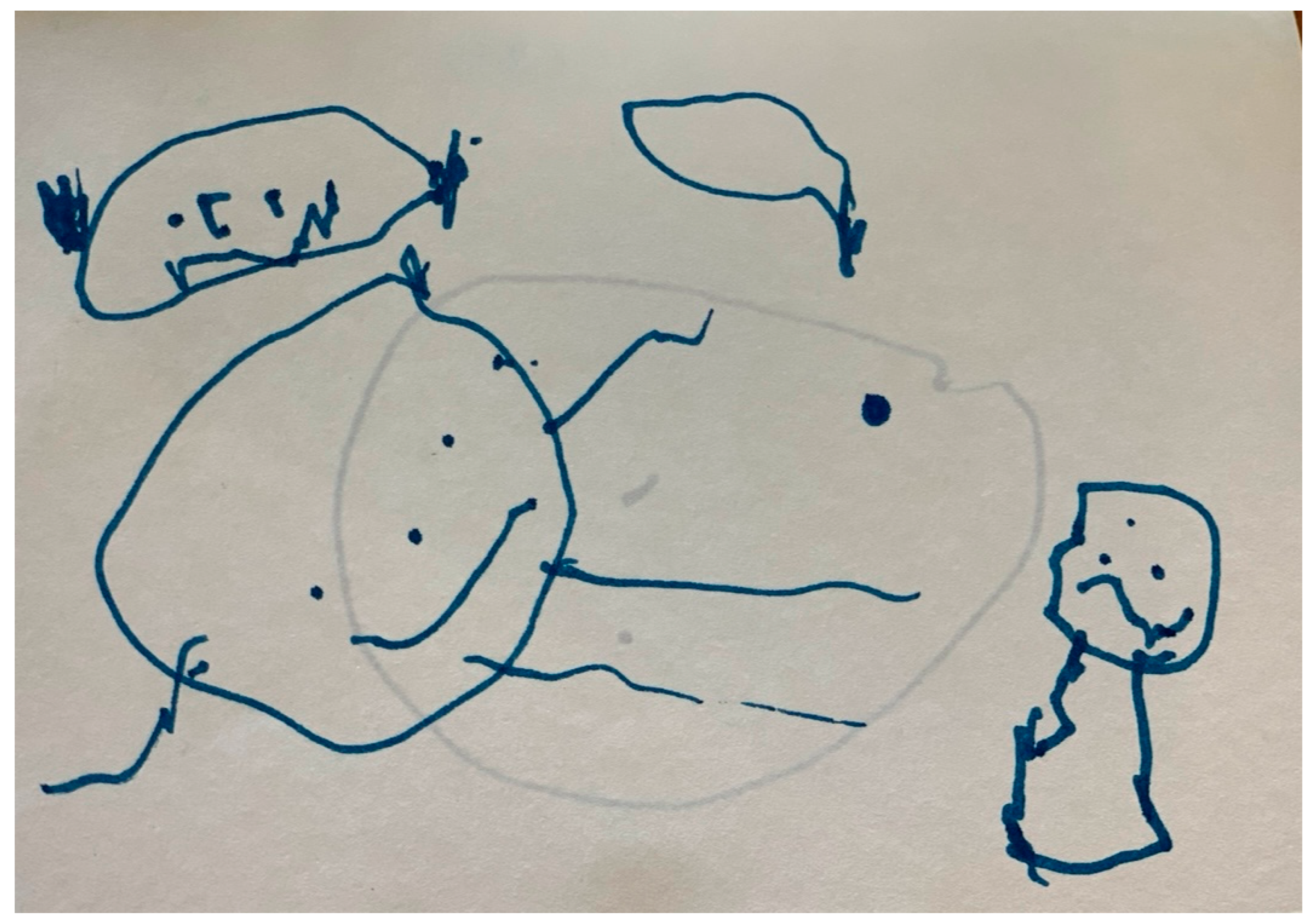 Sustainability 16 06626 g005