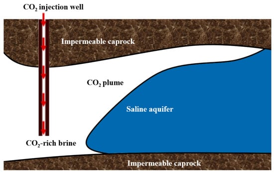 Sustainability 16 06639 g003