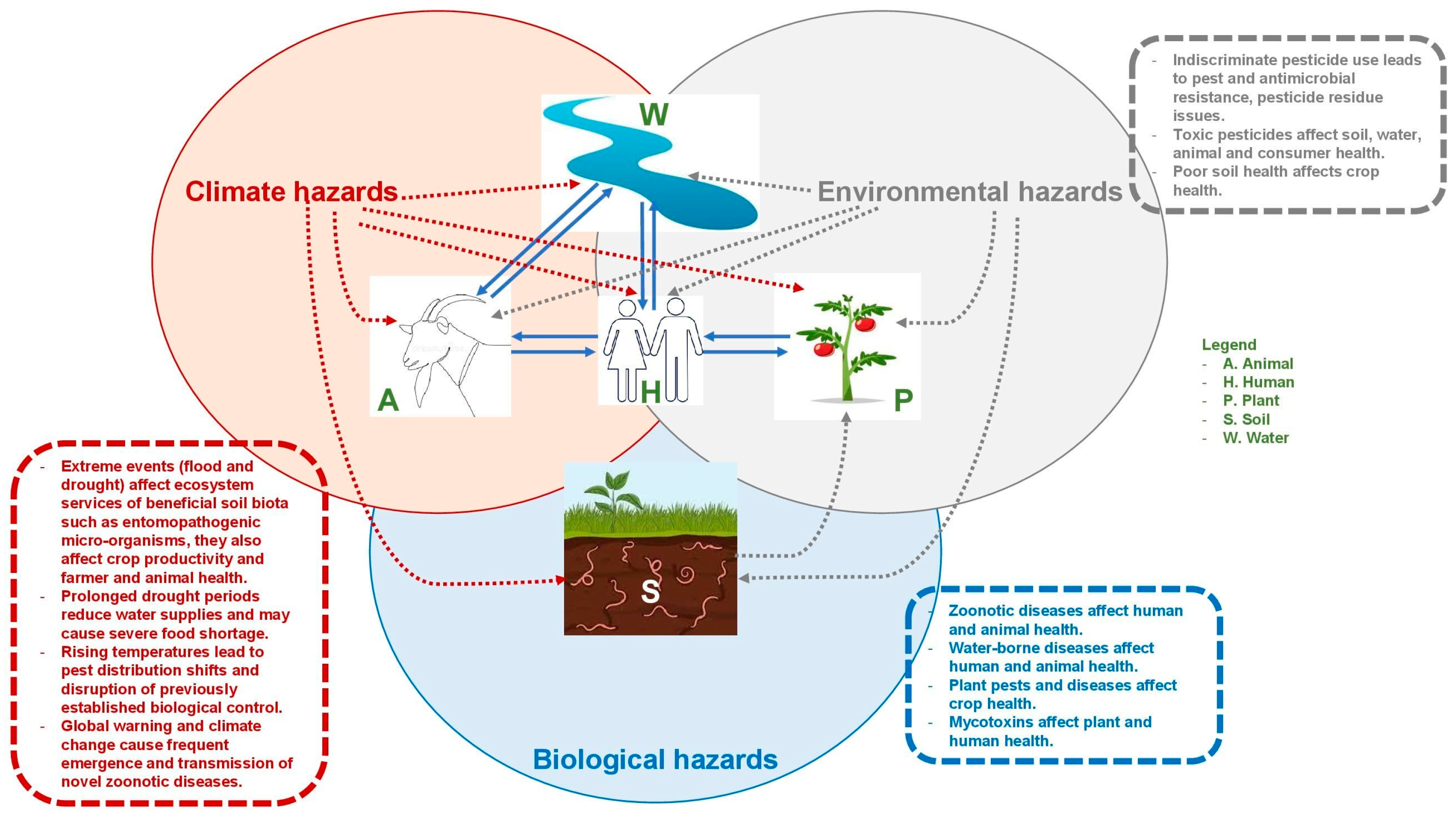 Sustainability 16 06652 g001
