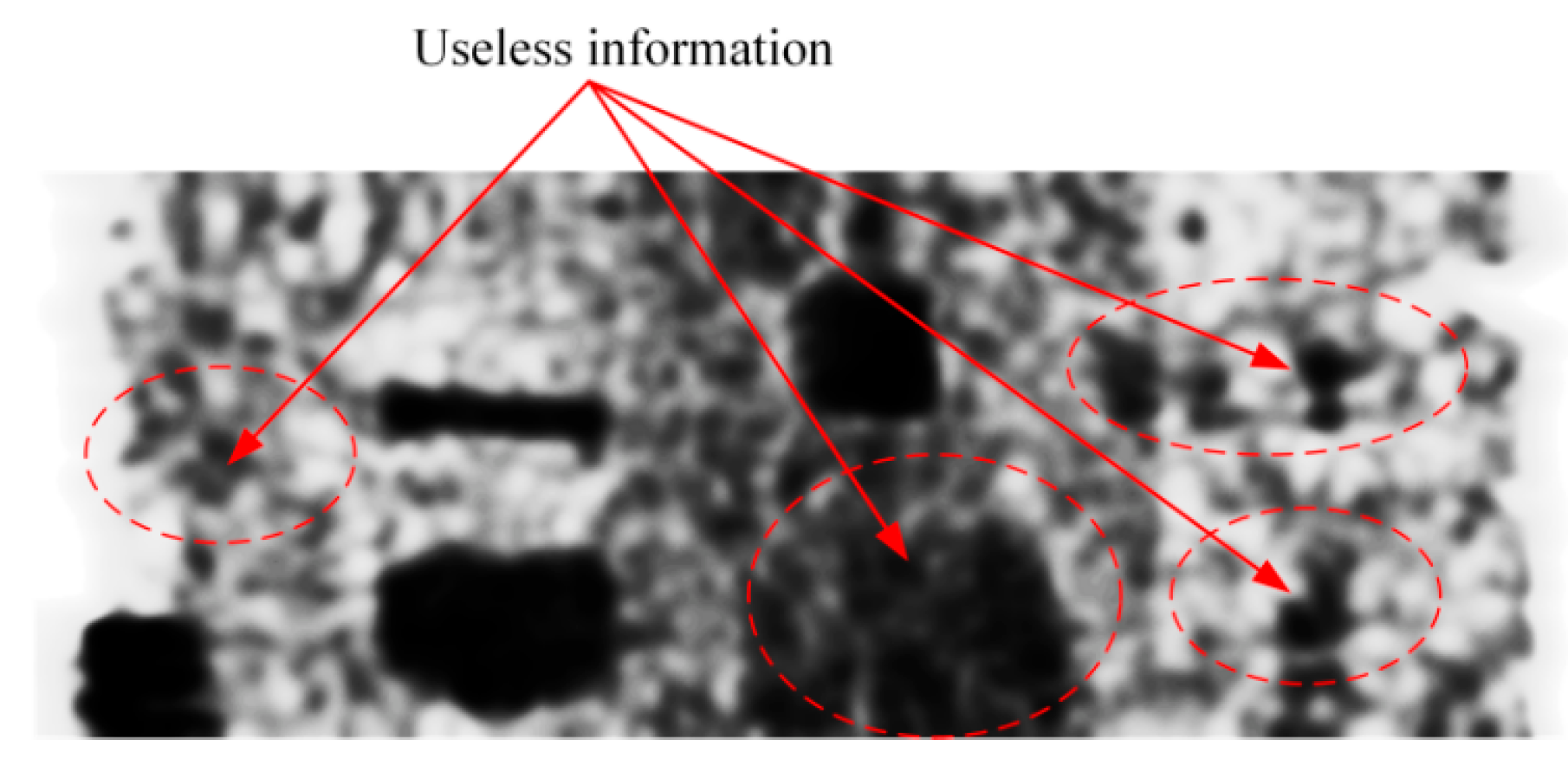 Sustainability 16 06665 g003