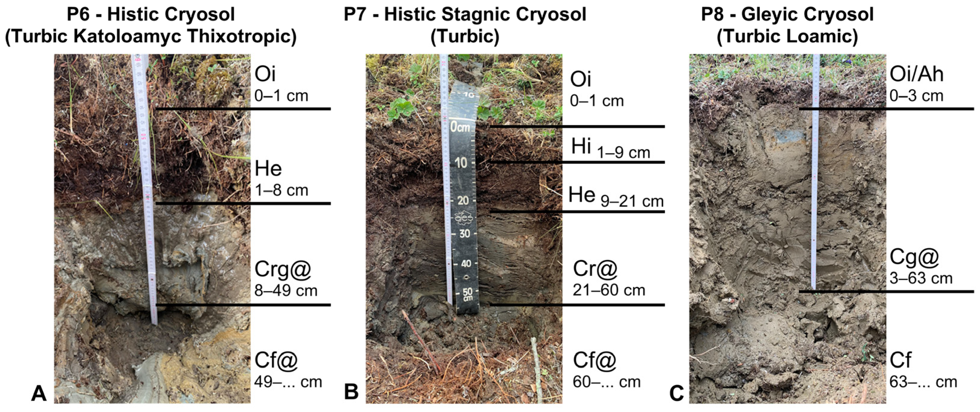 Sustainability 16 06673 g003