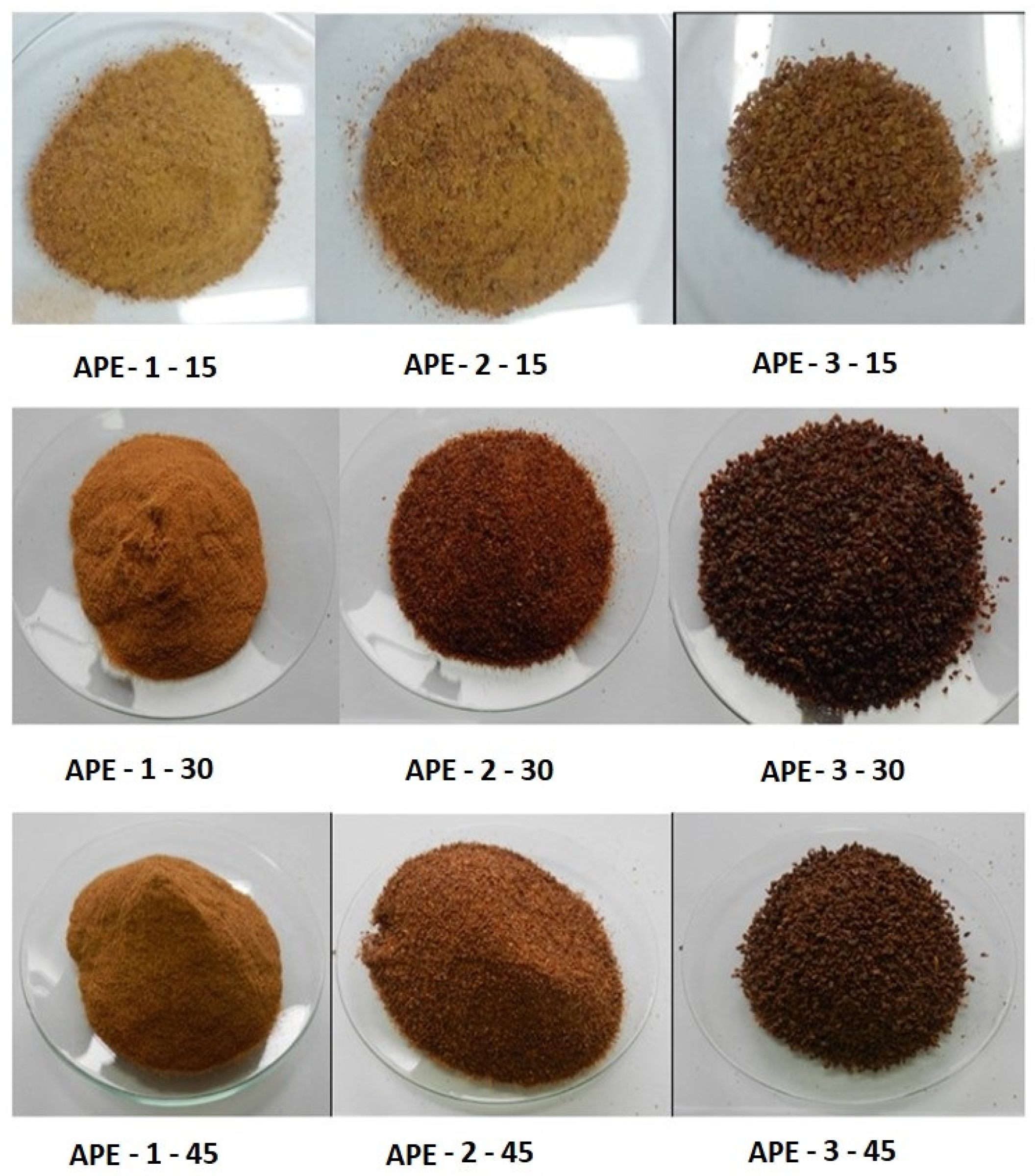 Sustainability 16 06702 g001