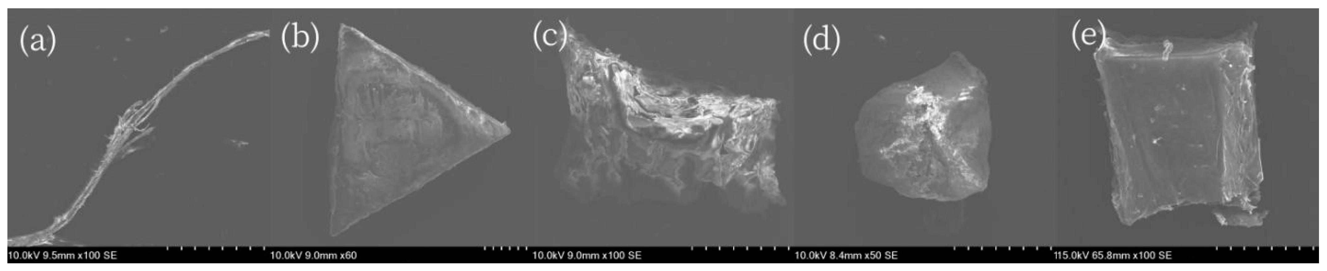 Sustainability 16 07254 g006