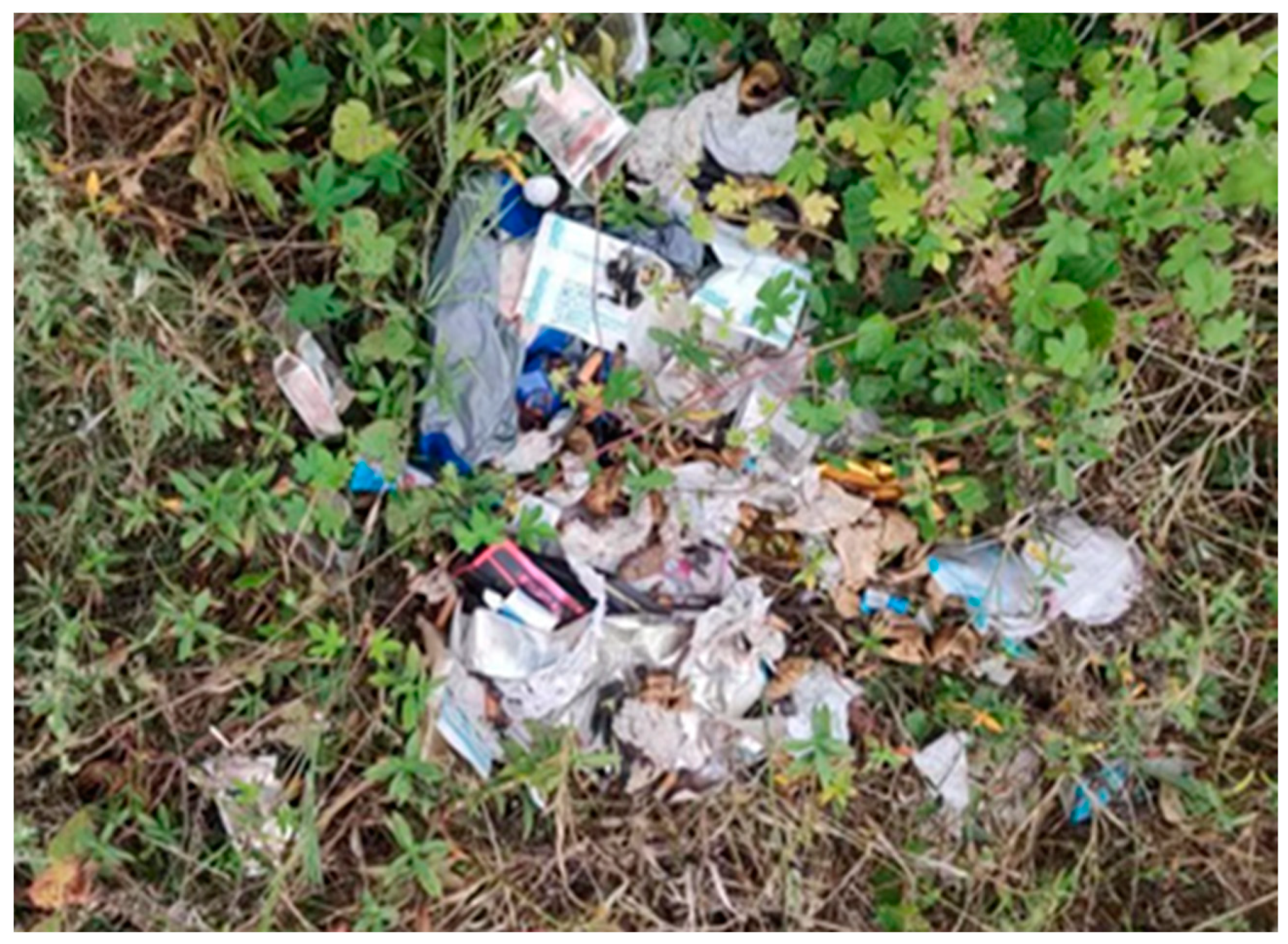 Sustainability 16 07254 g010