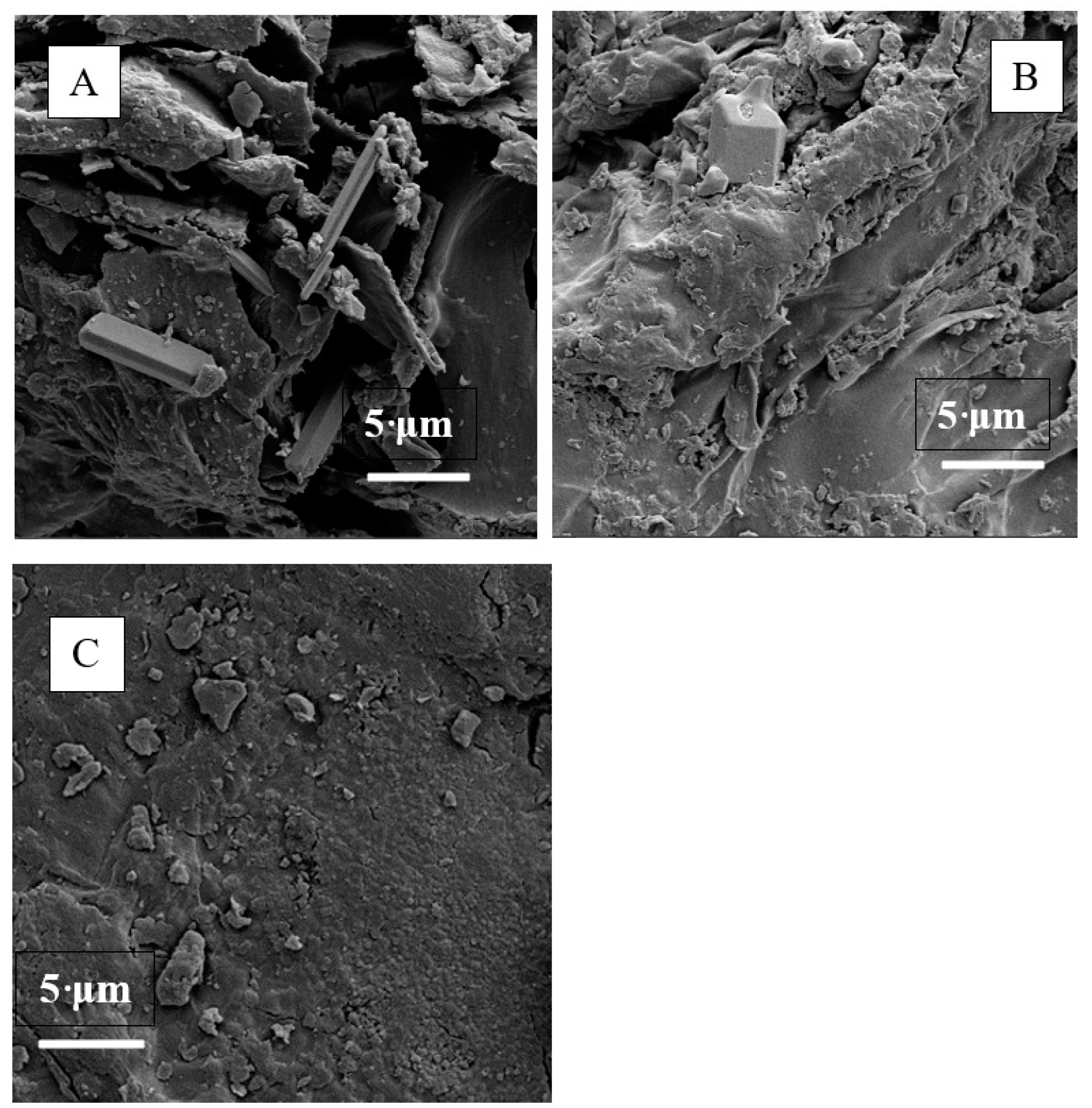 Sustainability 16 07278 g002