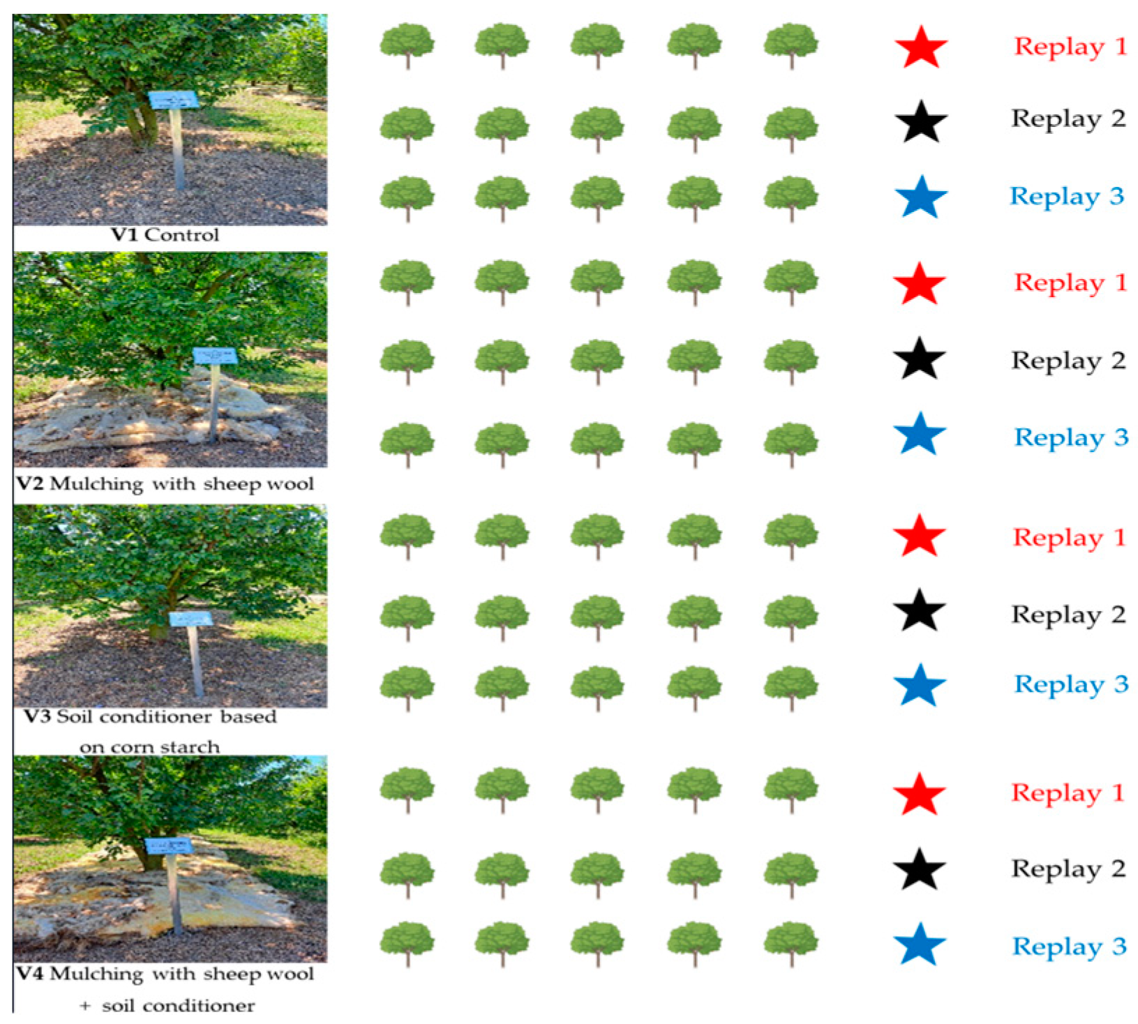 Sustainability 16 07287 g004