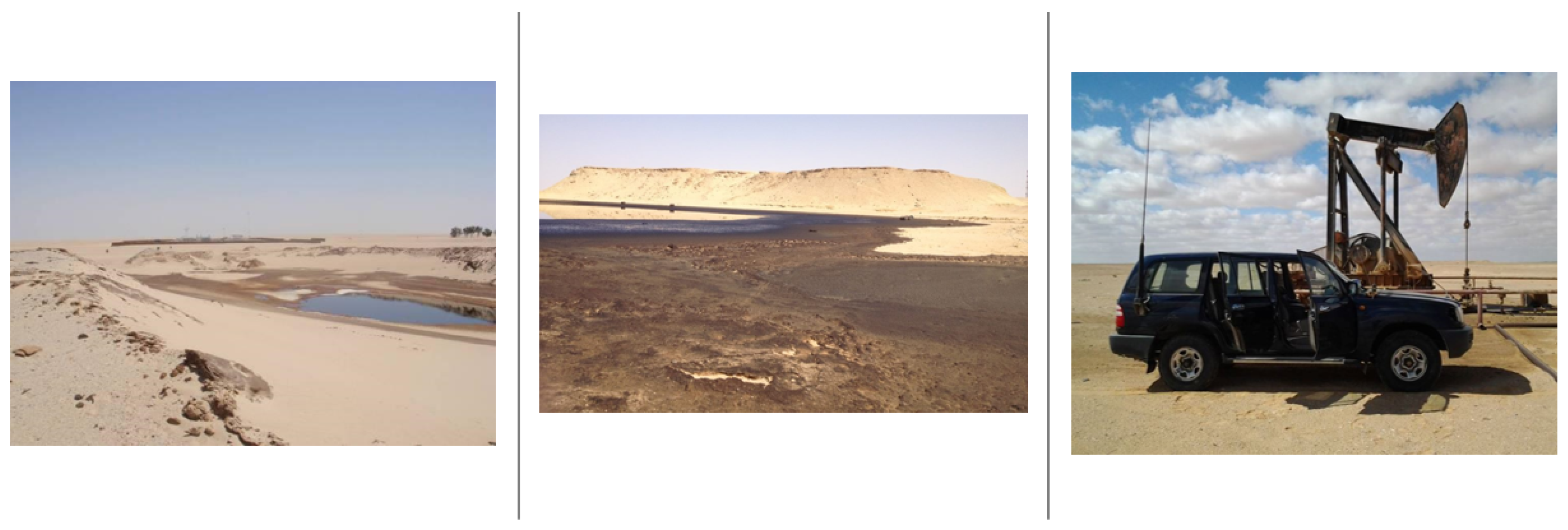 Sustainability 16 07344 g002