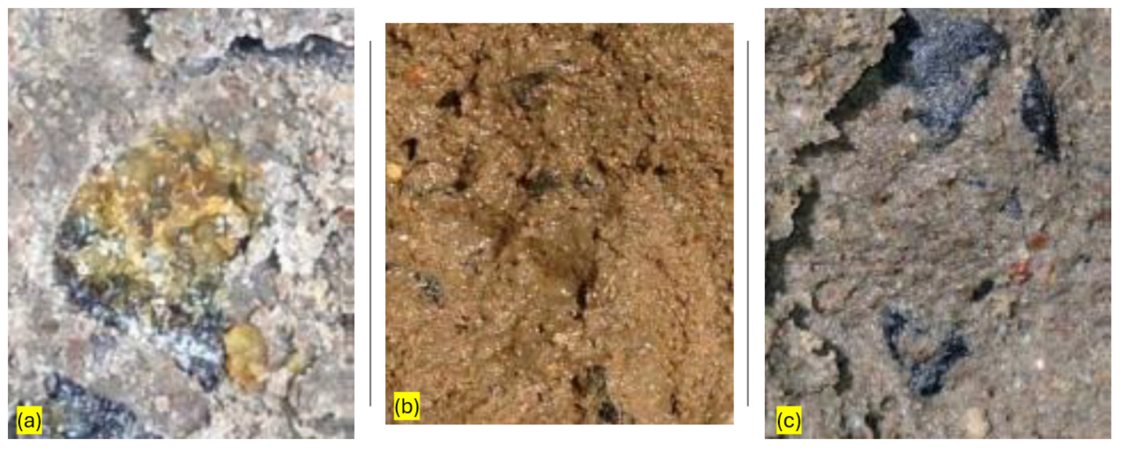 Sustainability 16 07344 g007