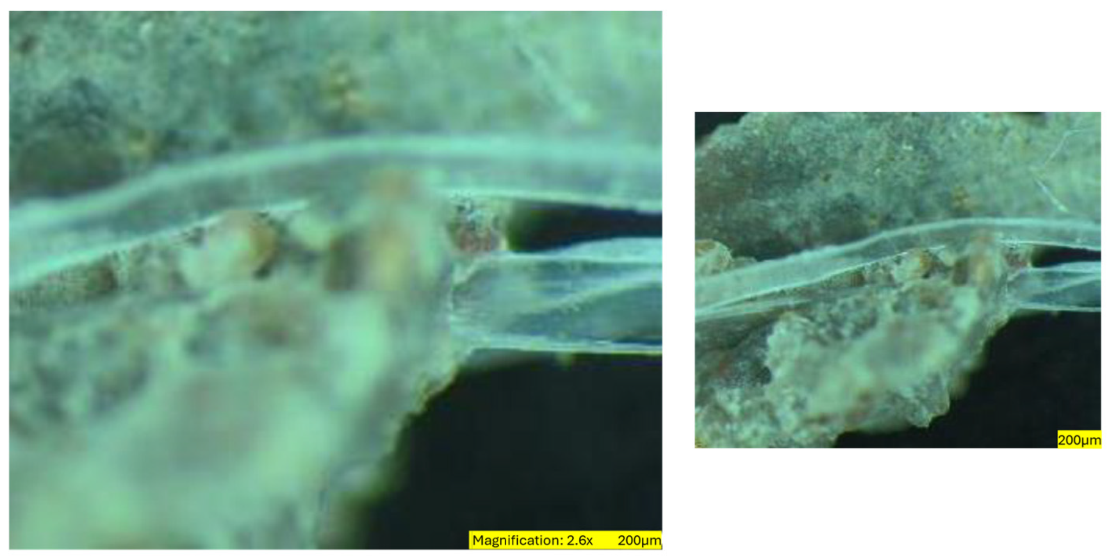 Sustainability 16 07344 g021