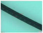 Sustainability 16 07344 i001 Sustainability 16 07344 i001