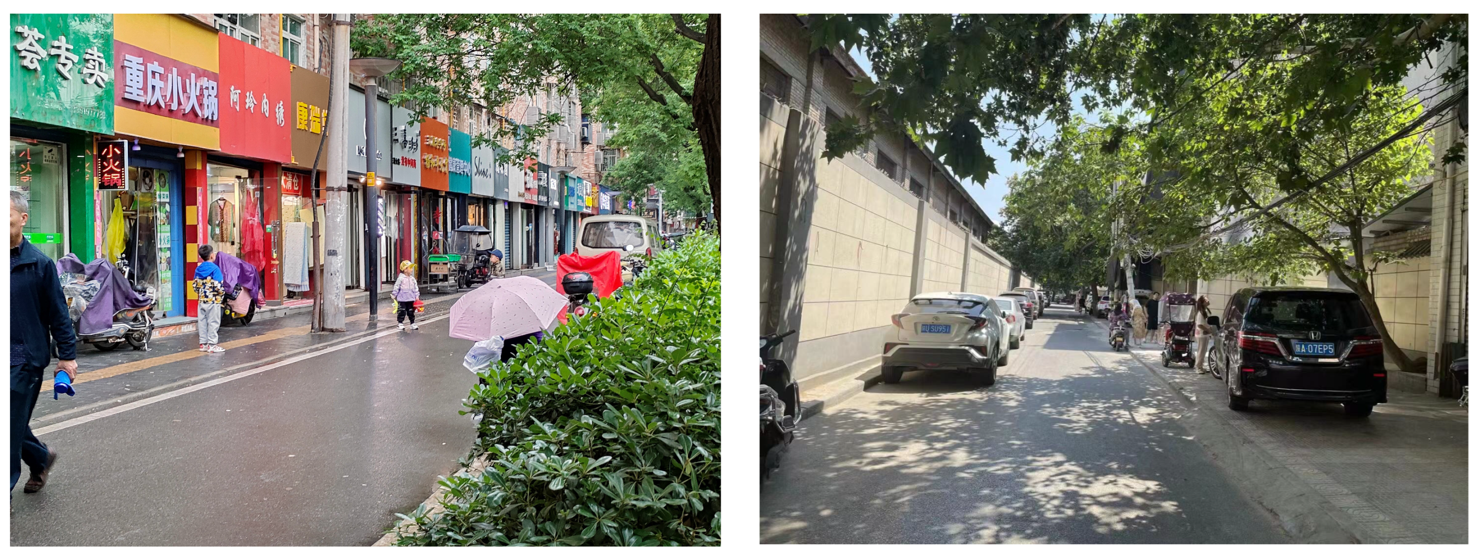 Sustainability 16 07345 g001