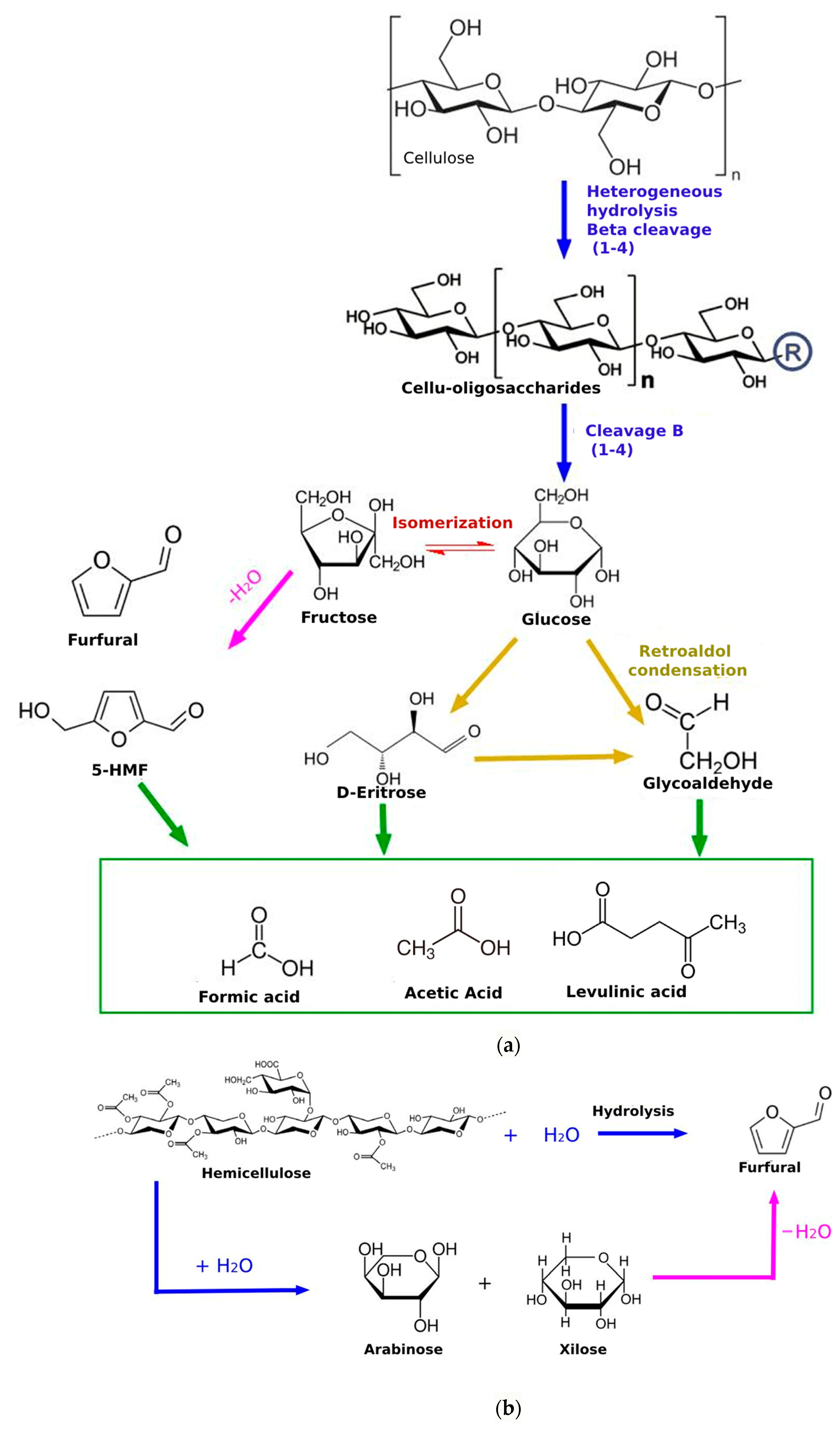 Sustainability 16 07352 g013