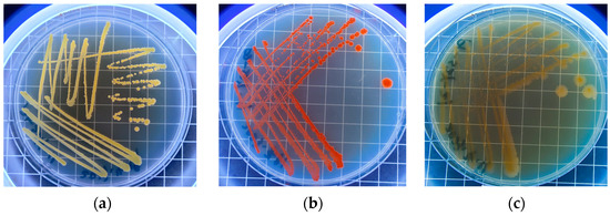 Sustainability 16 07357 g0a1a Sustainability 16 07357 g0a1a