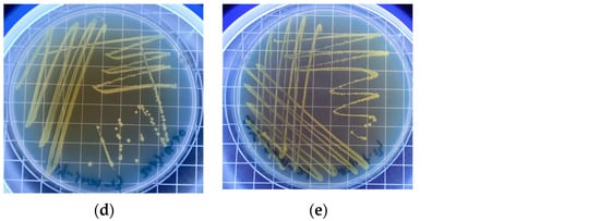 Sustainability 16 07357 g0a1b
