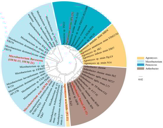 Sustainability 16 07357 g0a3