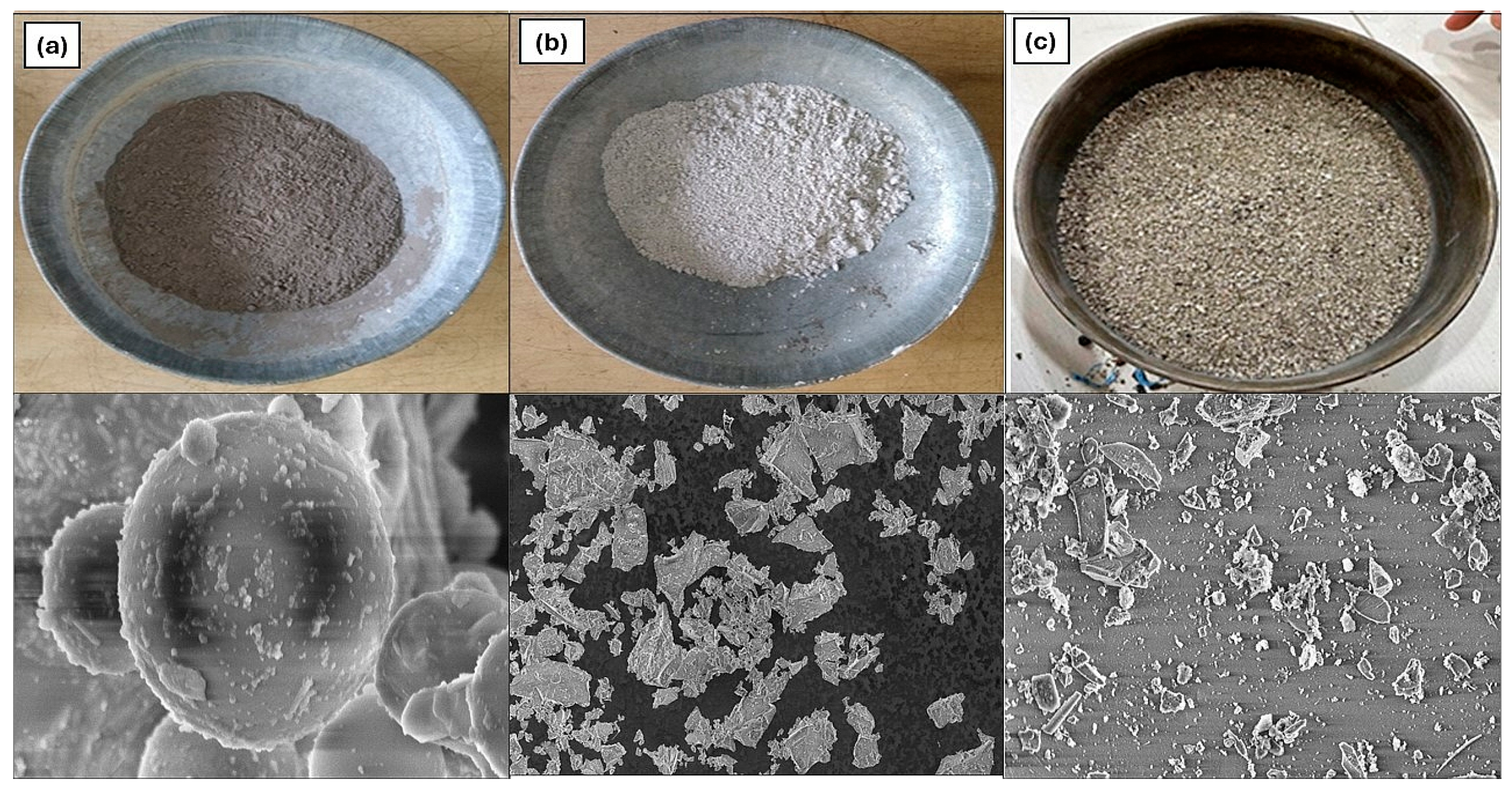 Sustainability 16 07402 g001