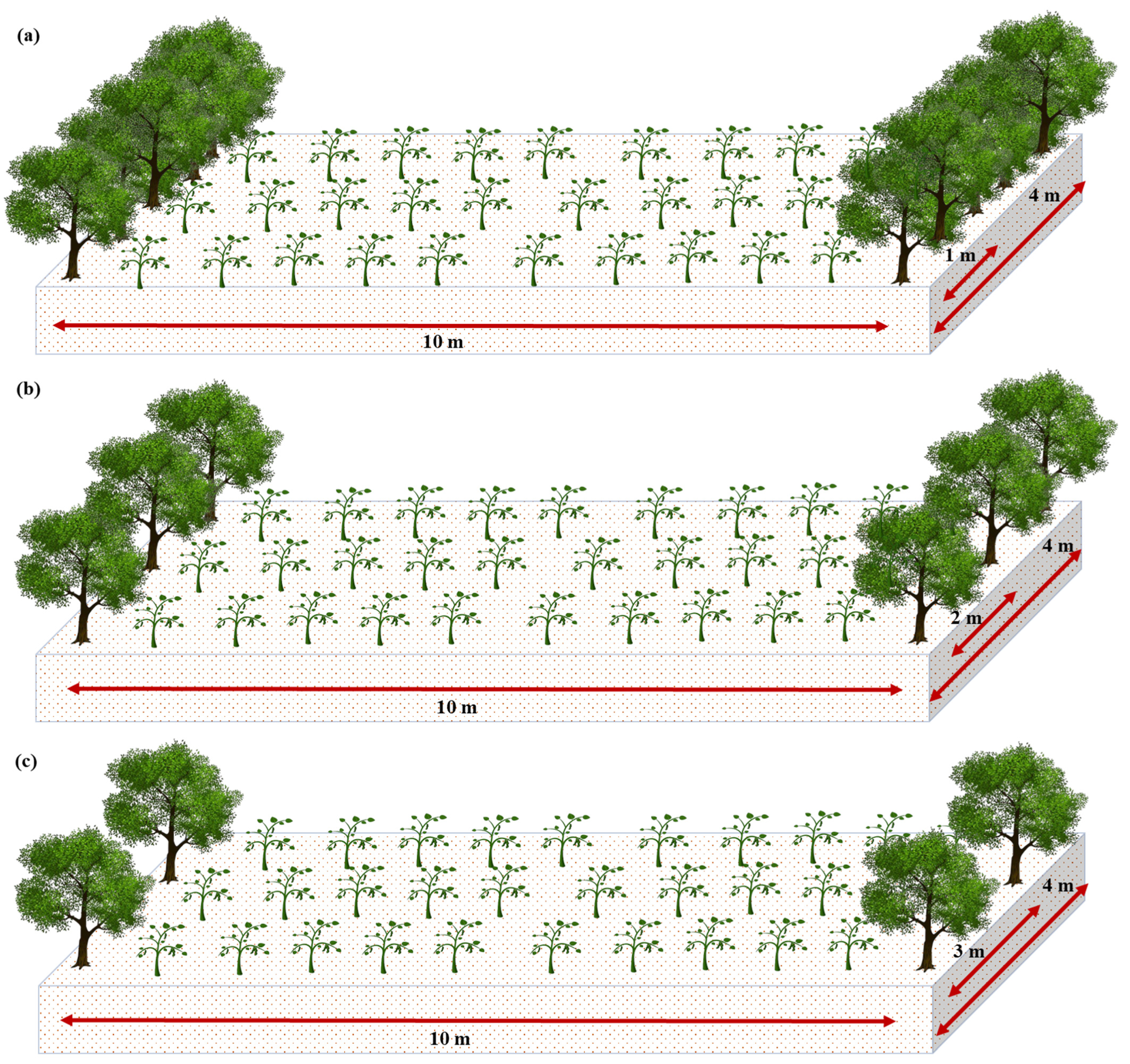 Sustainability 16 07438 g001