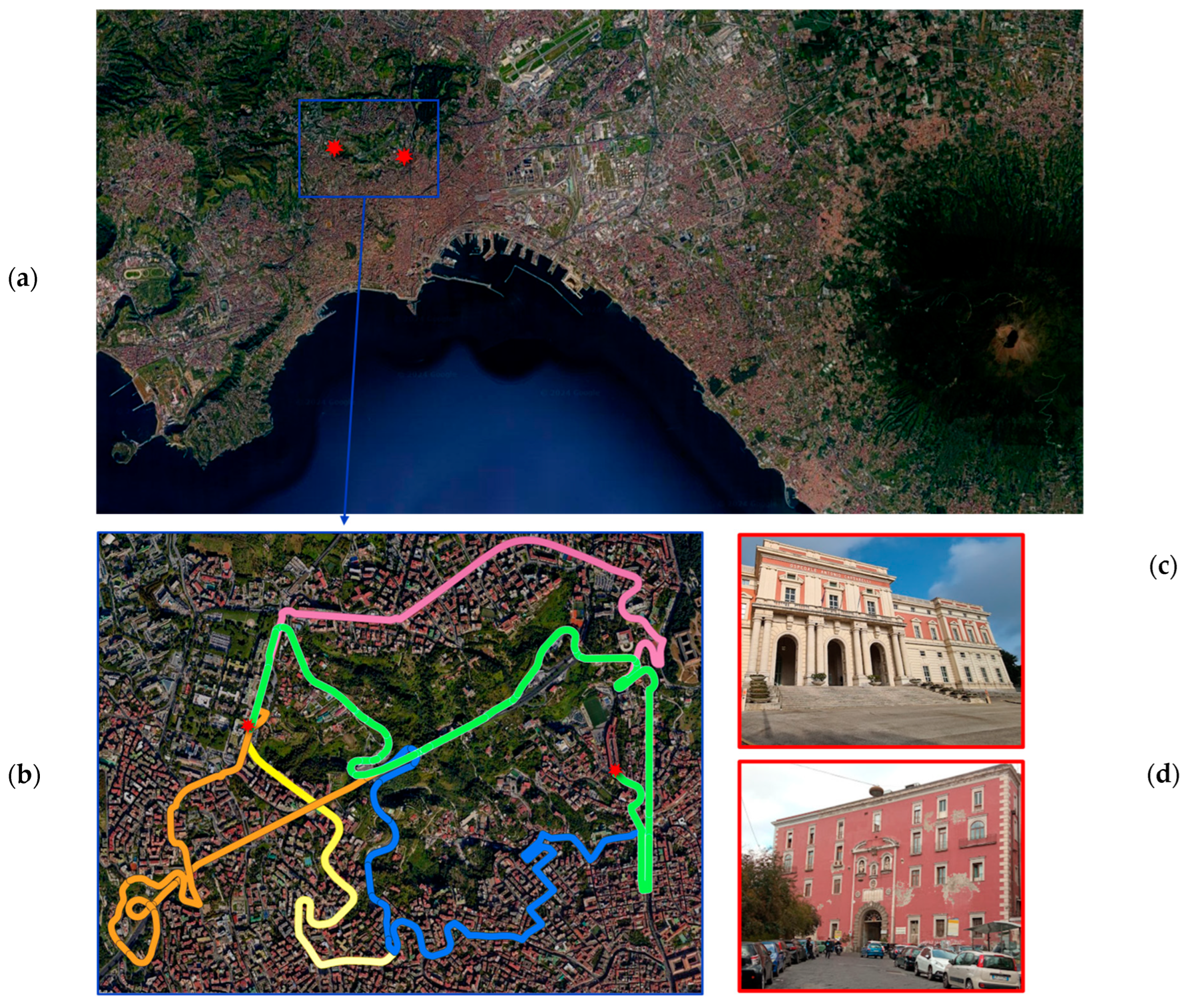 Sustainability 16 07465 g003