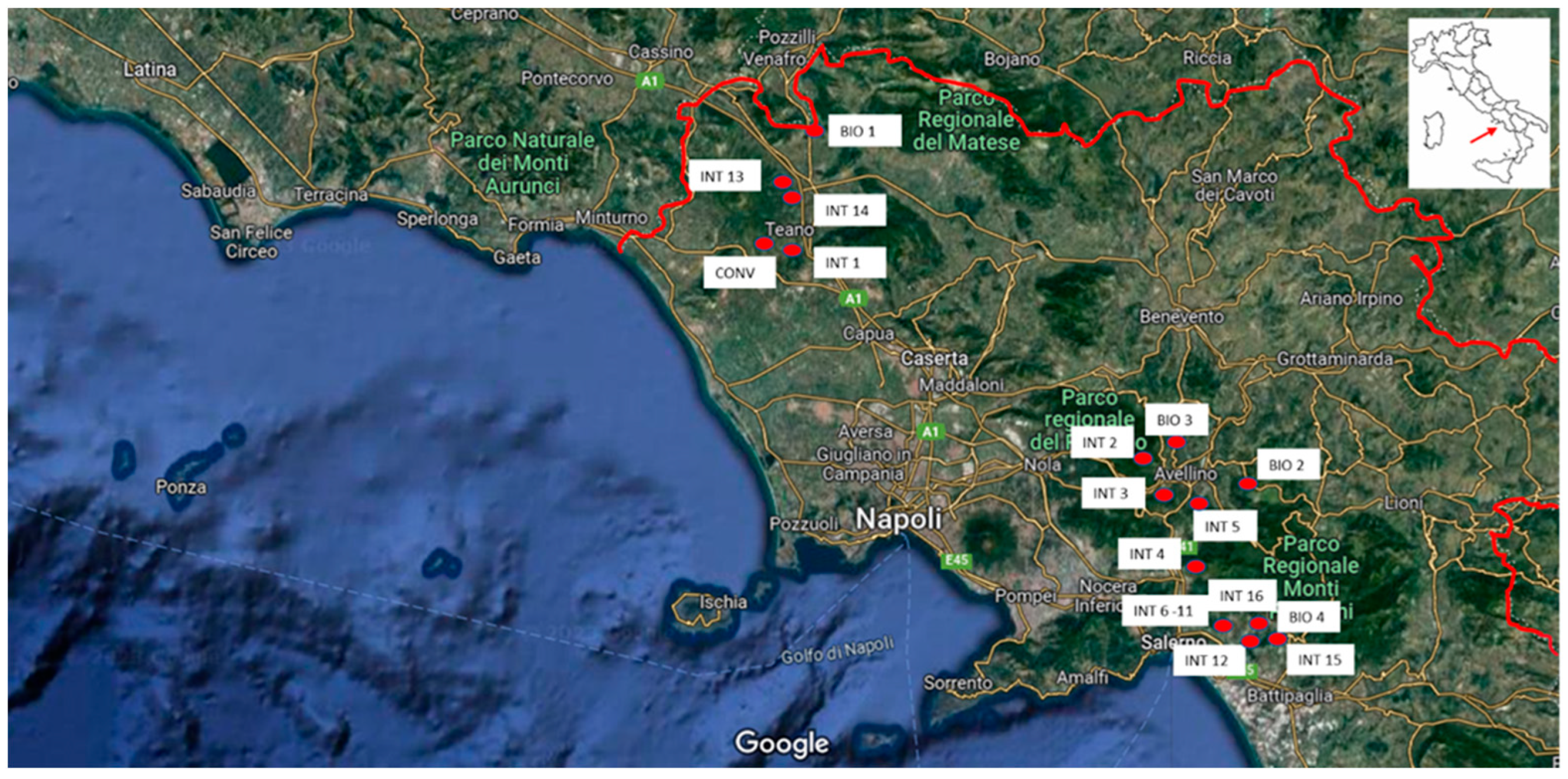 Sustainability 16 07533 g001