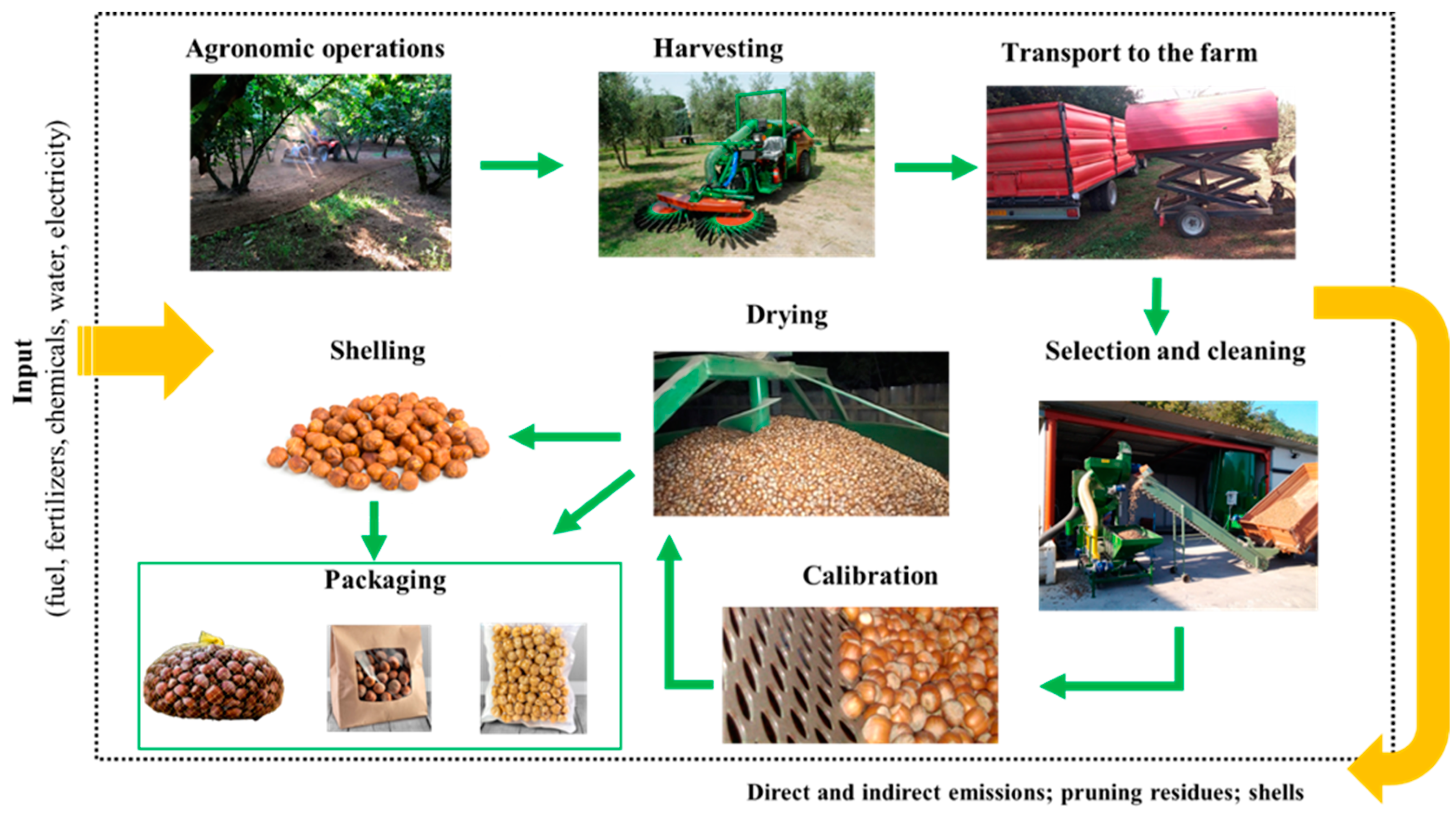 Sustainability 16 07533 g002