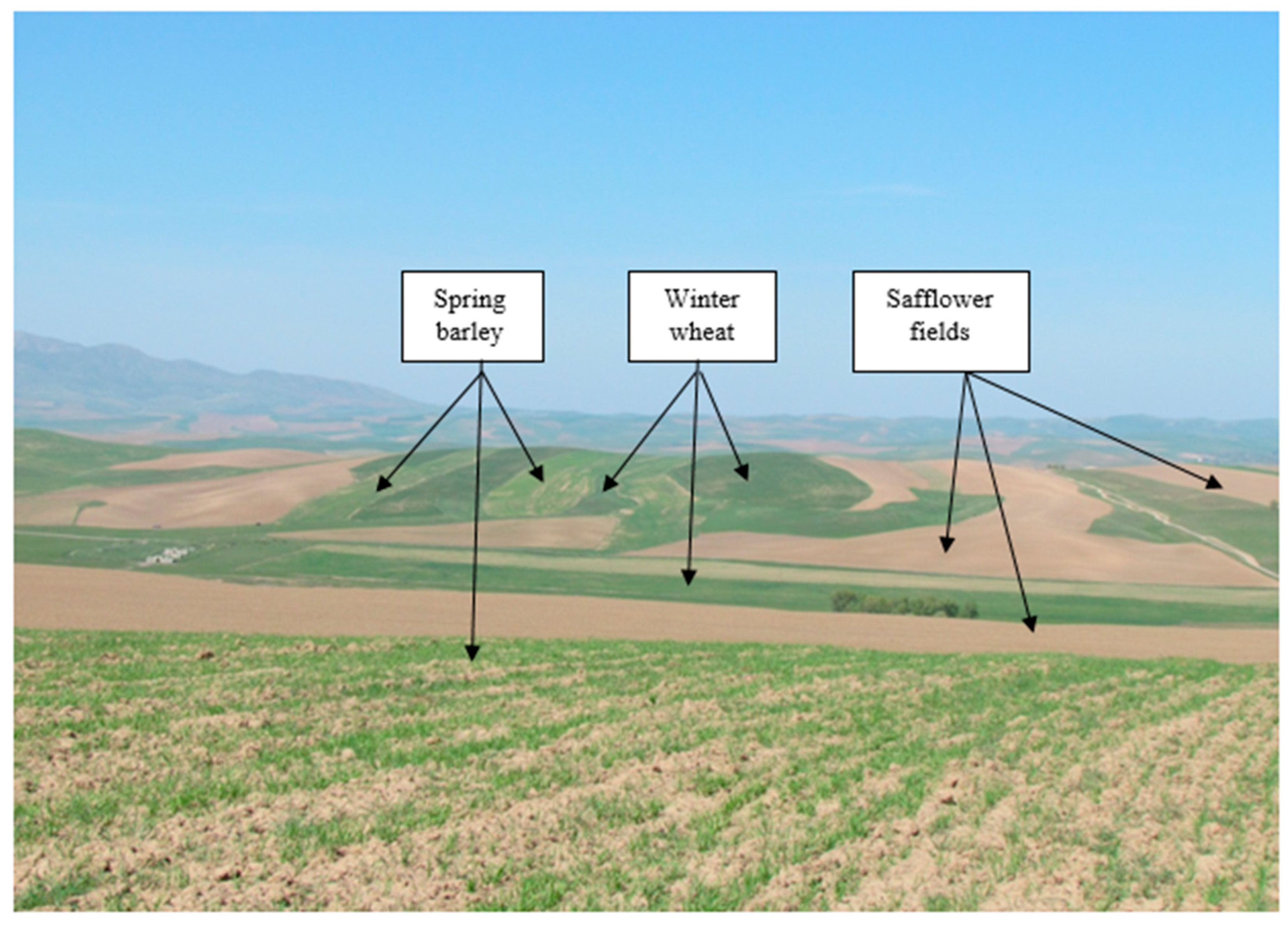 Sustainability 16 07548 g004