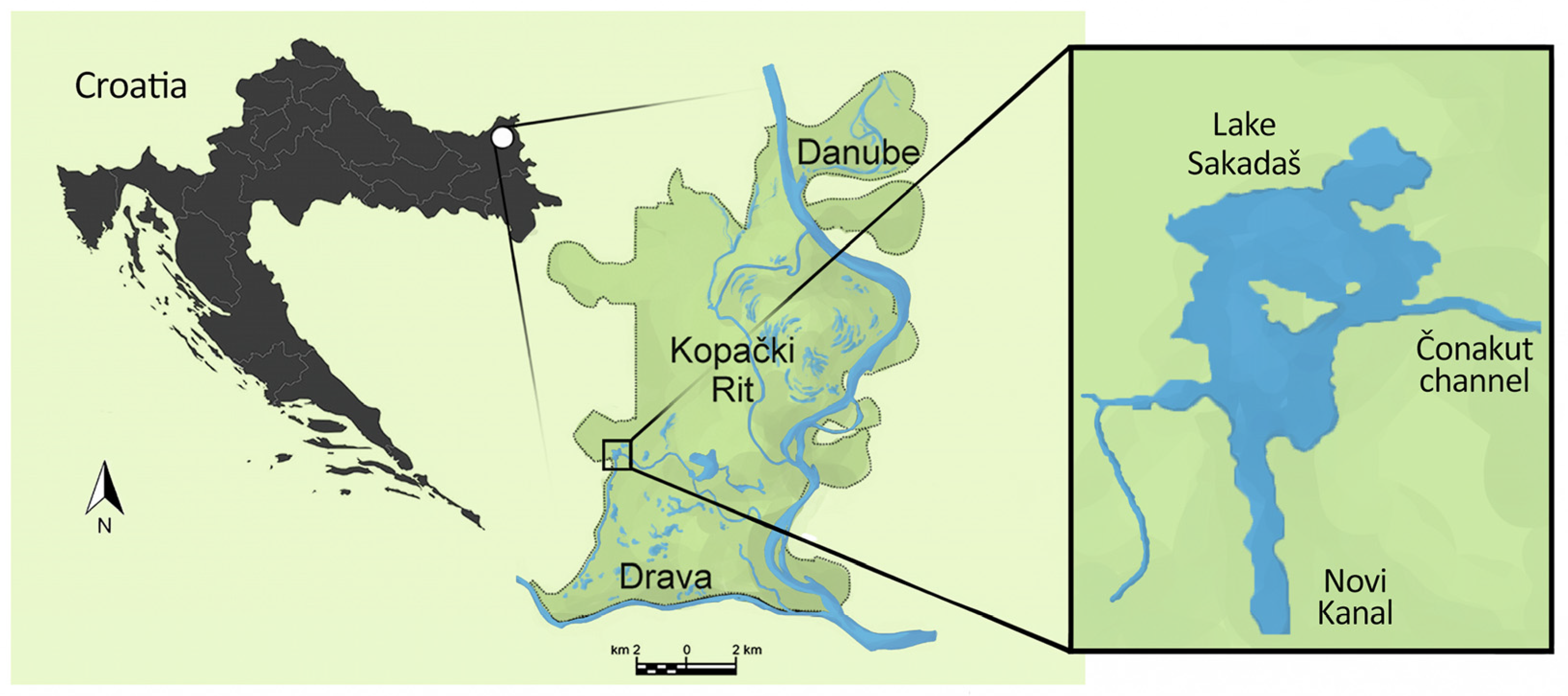 Sustainability 16 07566 g001