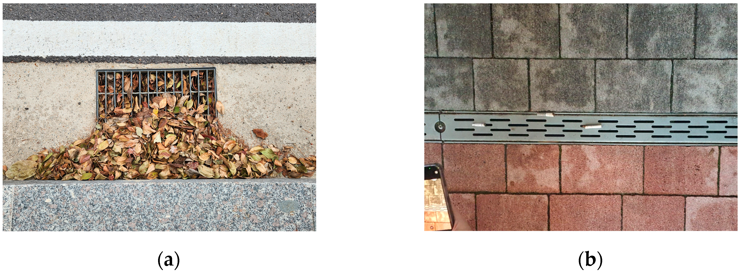 Sustainability 16 07596 g001