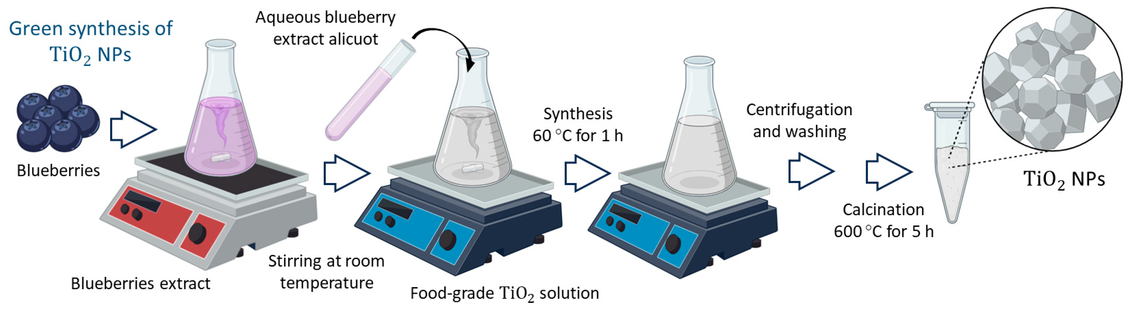 Sustainability 16 07638 g001