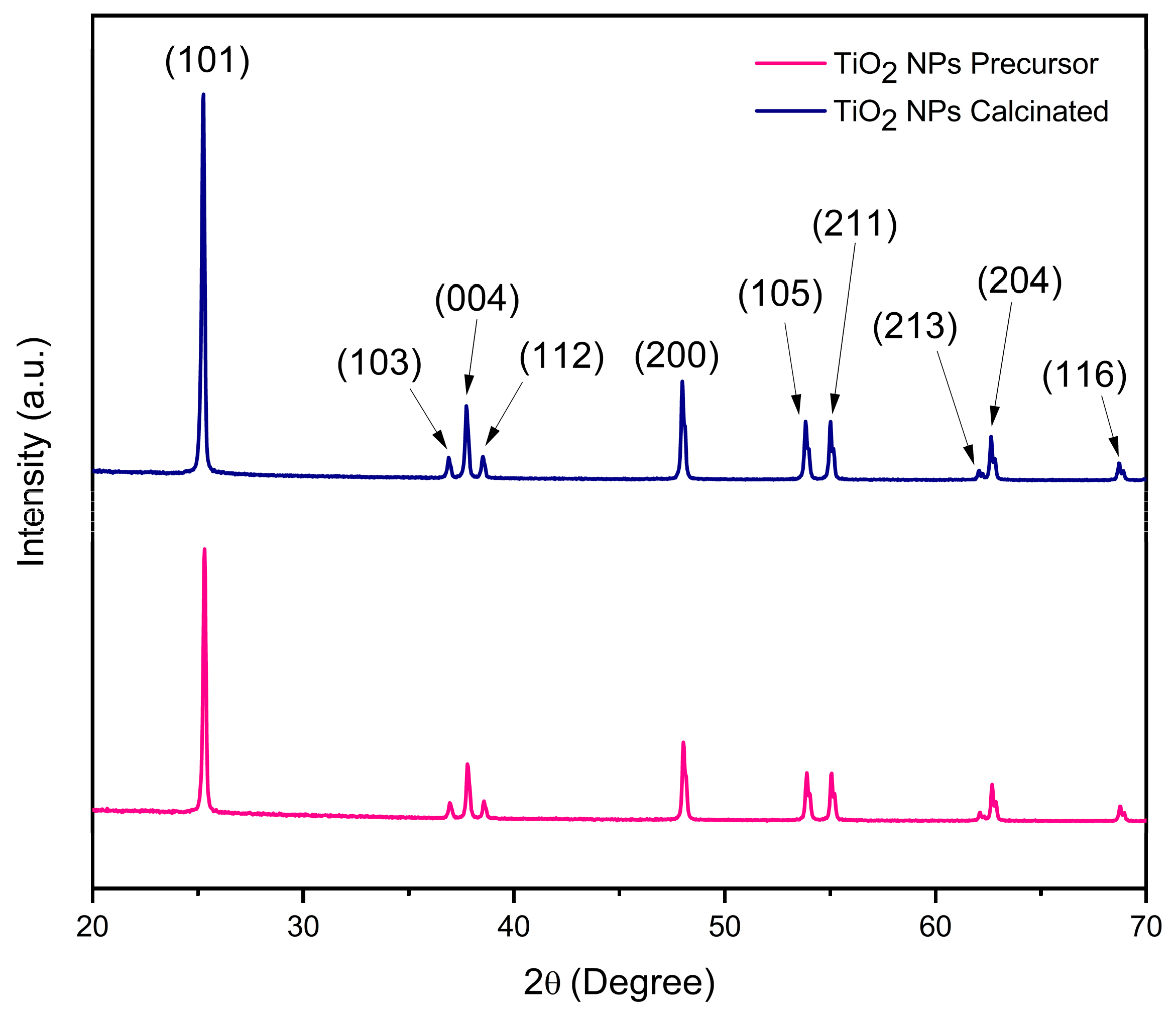 Sustainability 16 07638 g002