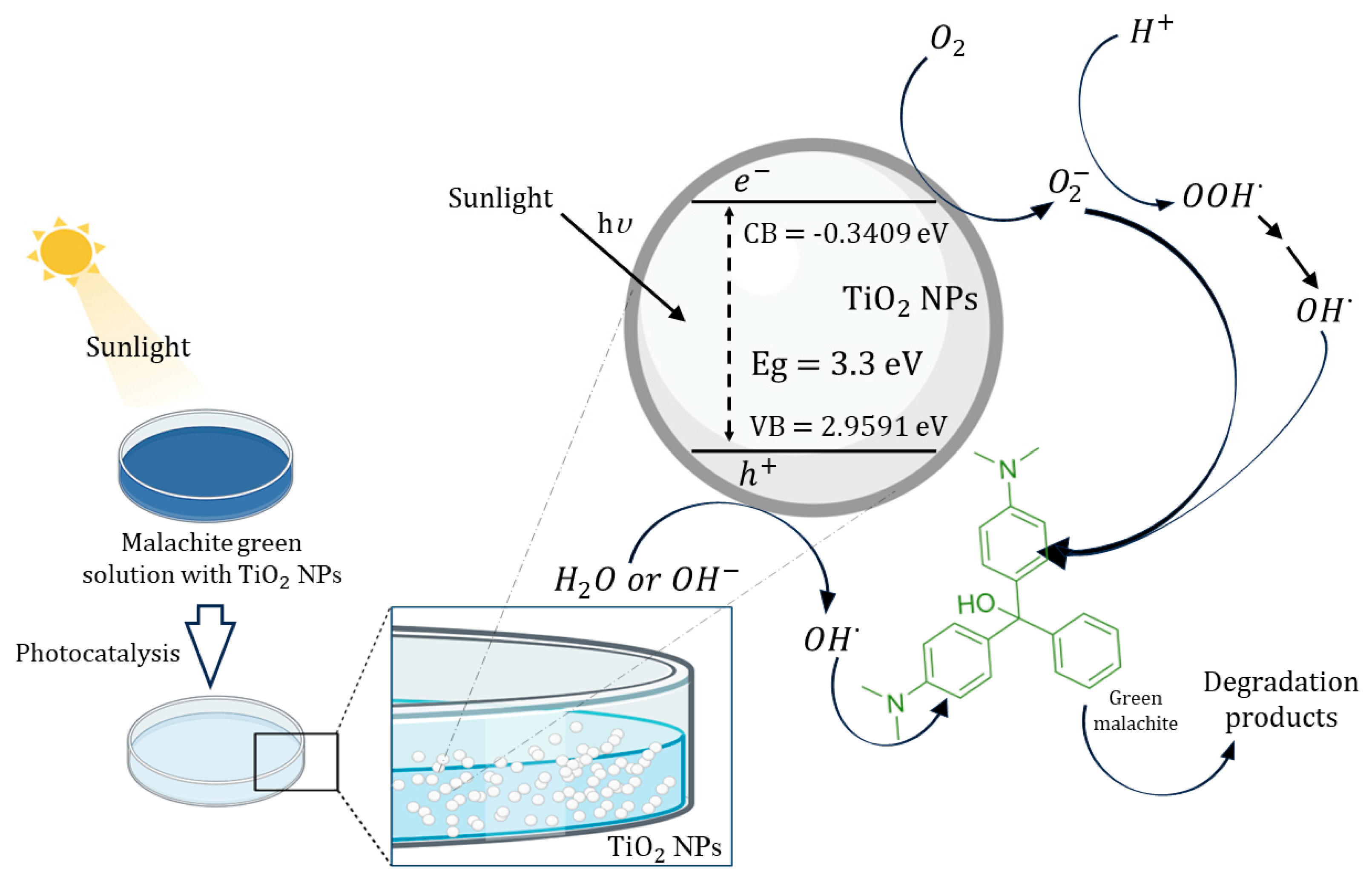 Sustainability 16 07638 g012