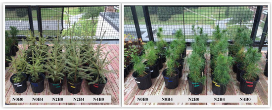 Sustainability 16 07683 g001