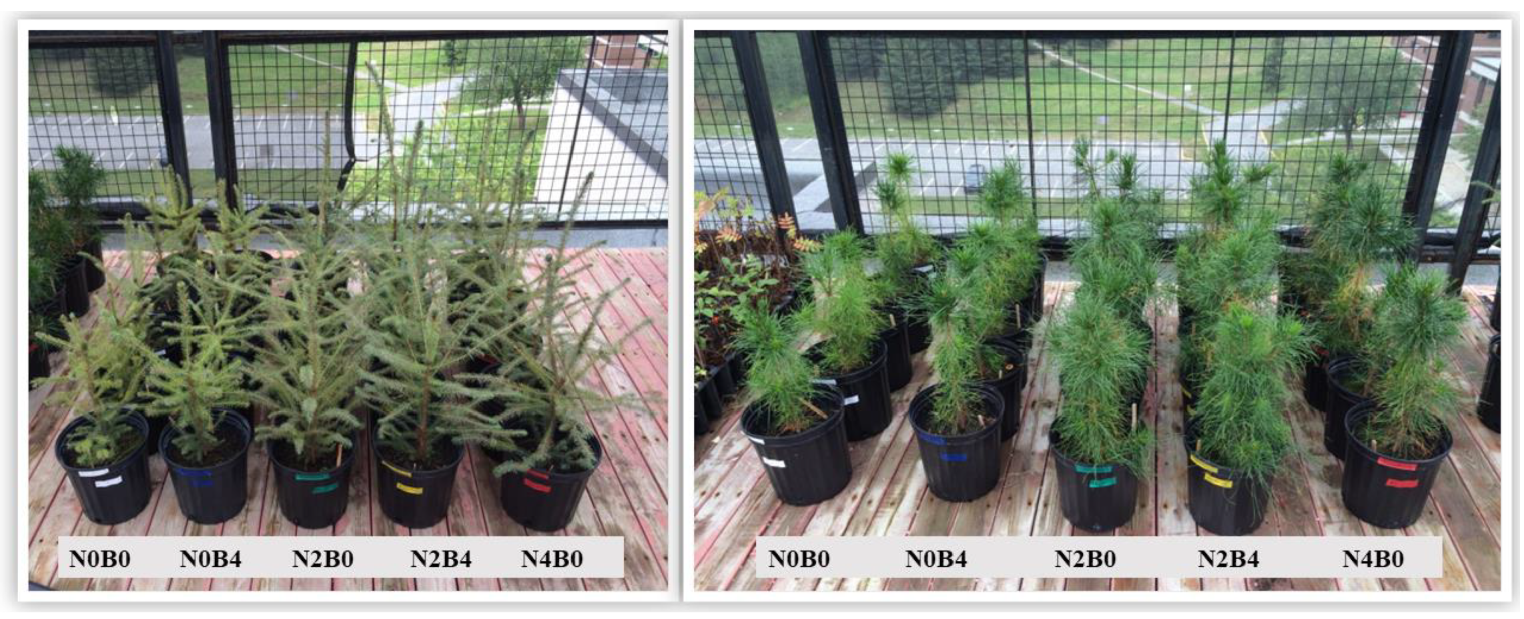 Sustainability 16 07683 g001 Sustainability 16 07683 g001