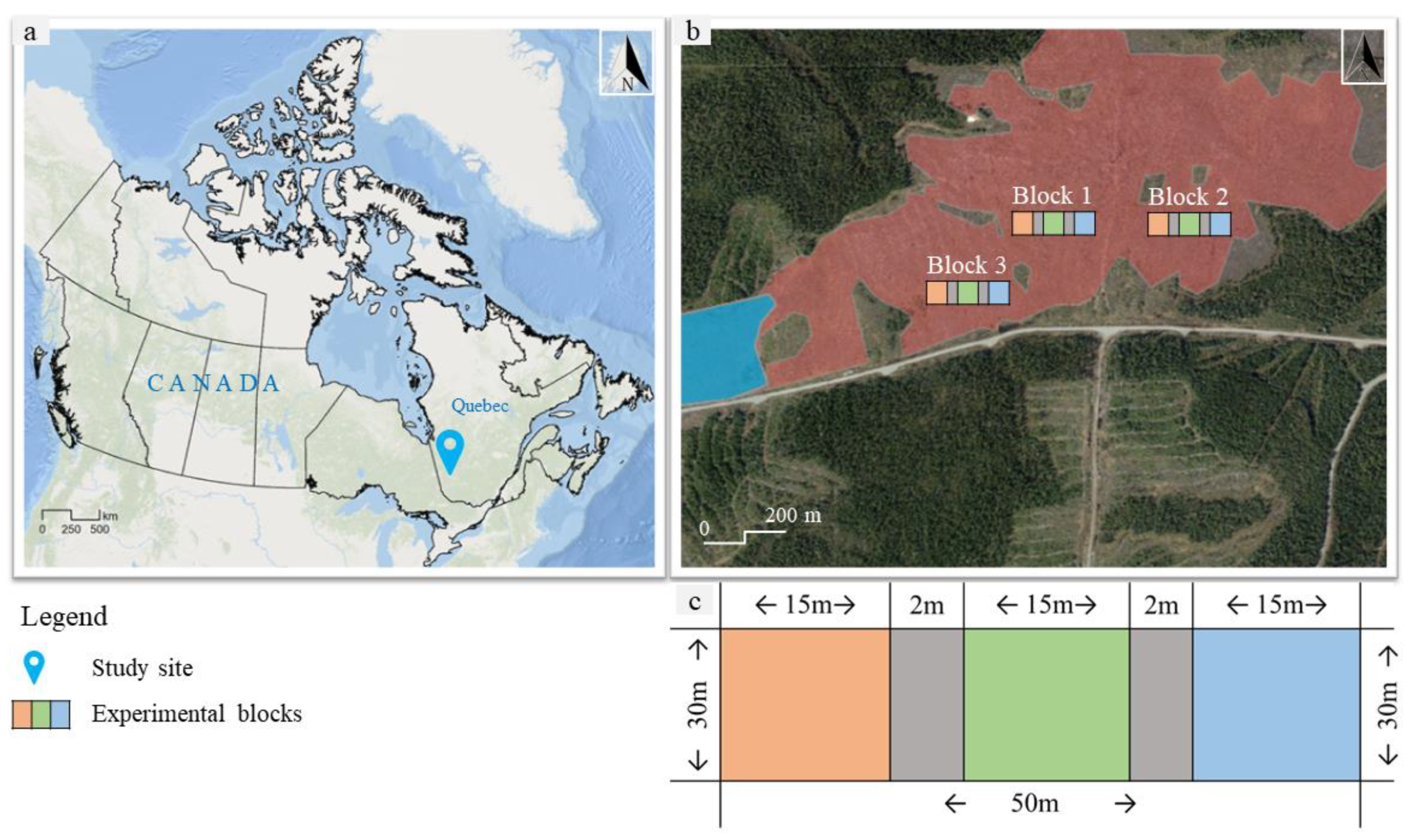 Sustainability 16 07683 g002 Sustainability 16 07683 g002